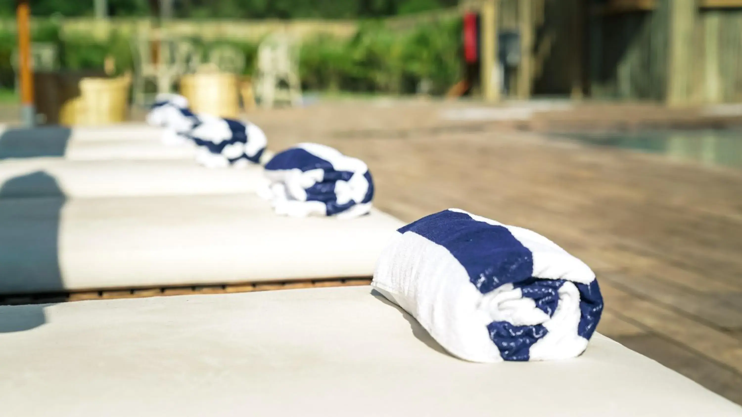 sunbed in Casagrande Hotel & Beach Club sunbed in Casagrande Hotel & Beach Club