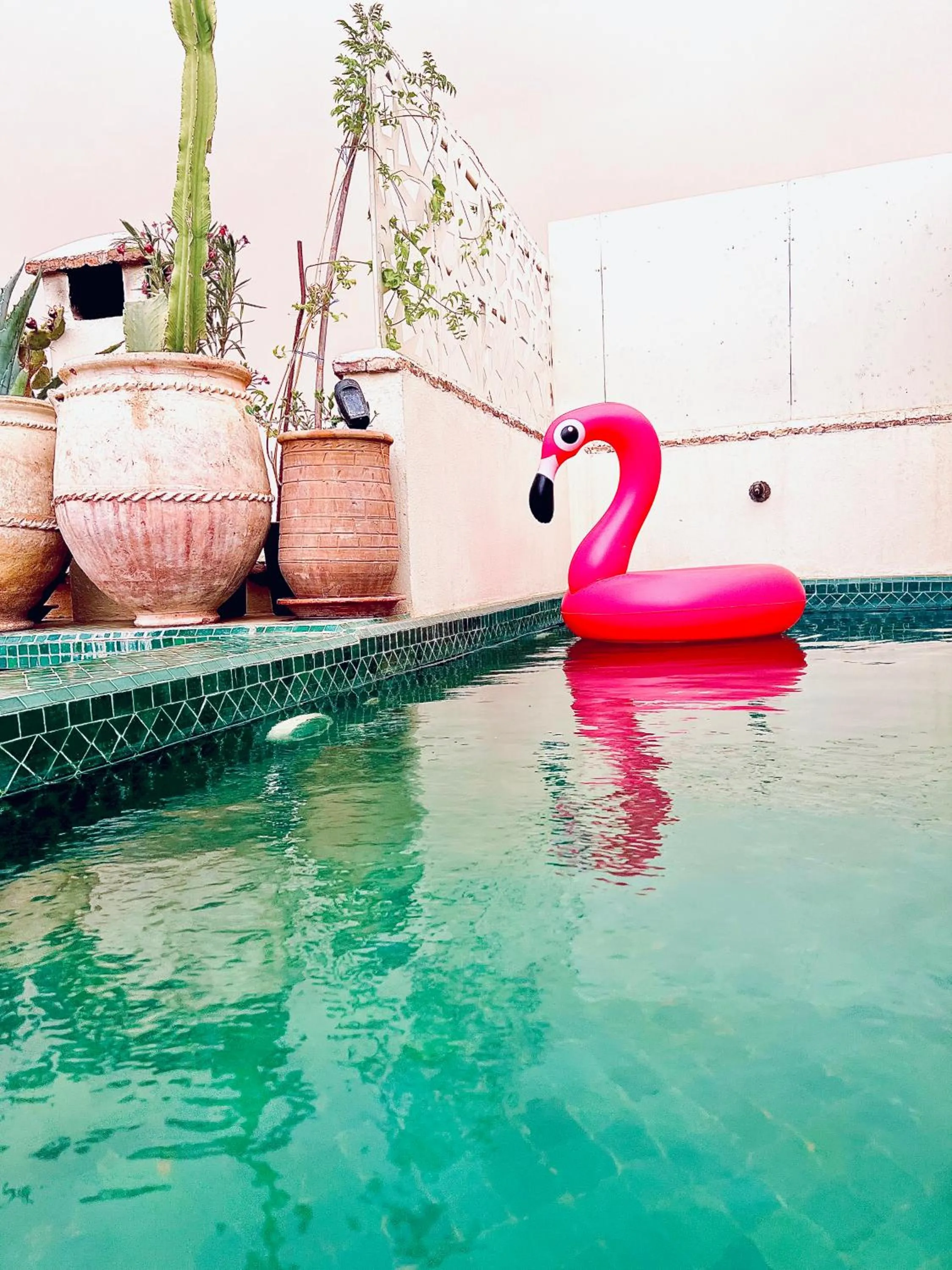 Riad 103 Medina Pool and Hammam