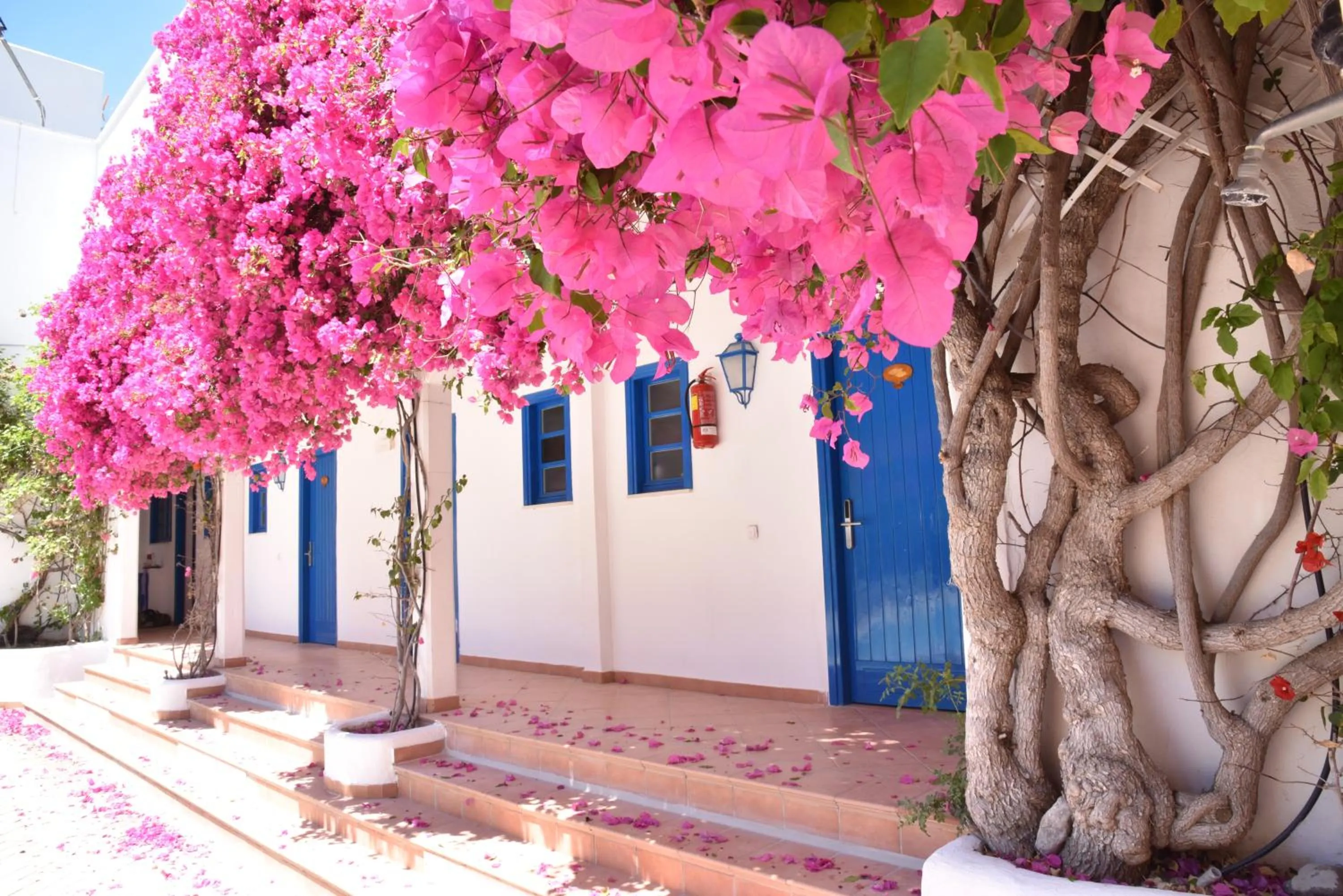 Patio in Boutique Hotel Tilos Mare