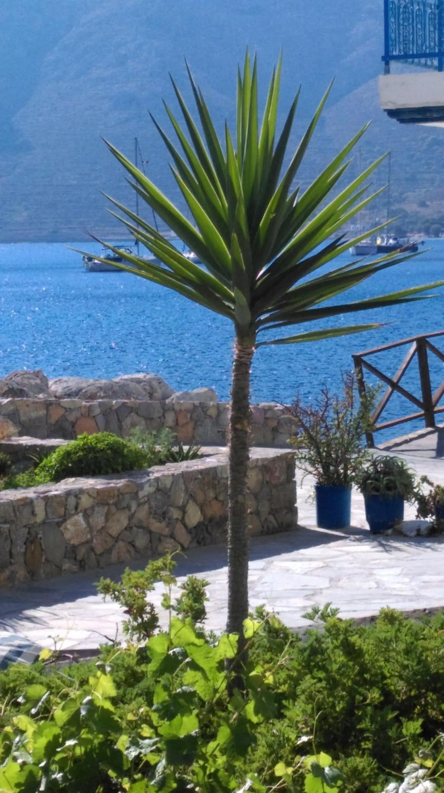 Nearby landmark in Boutique Hotel Tilos Mare