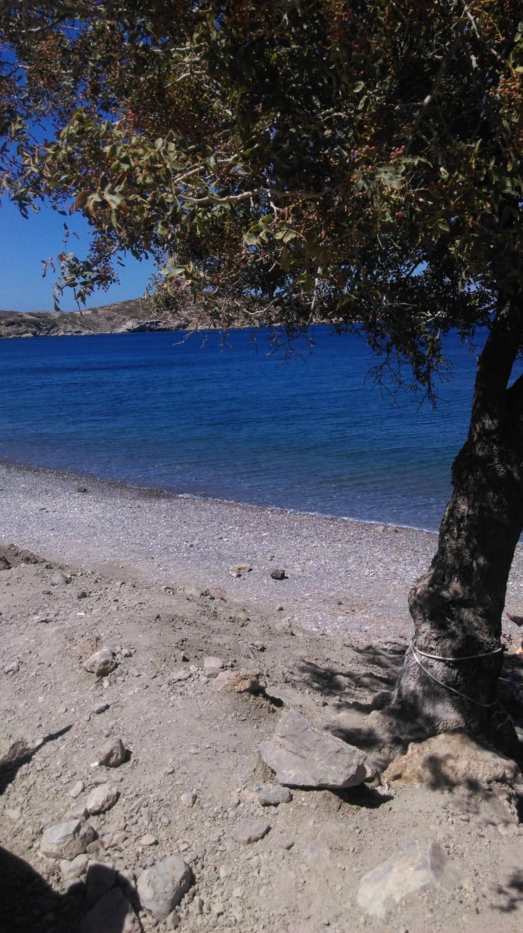 Beach in Boutique Hotel Tilos Mare