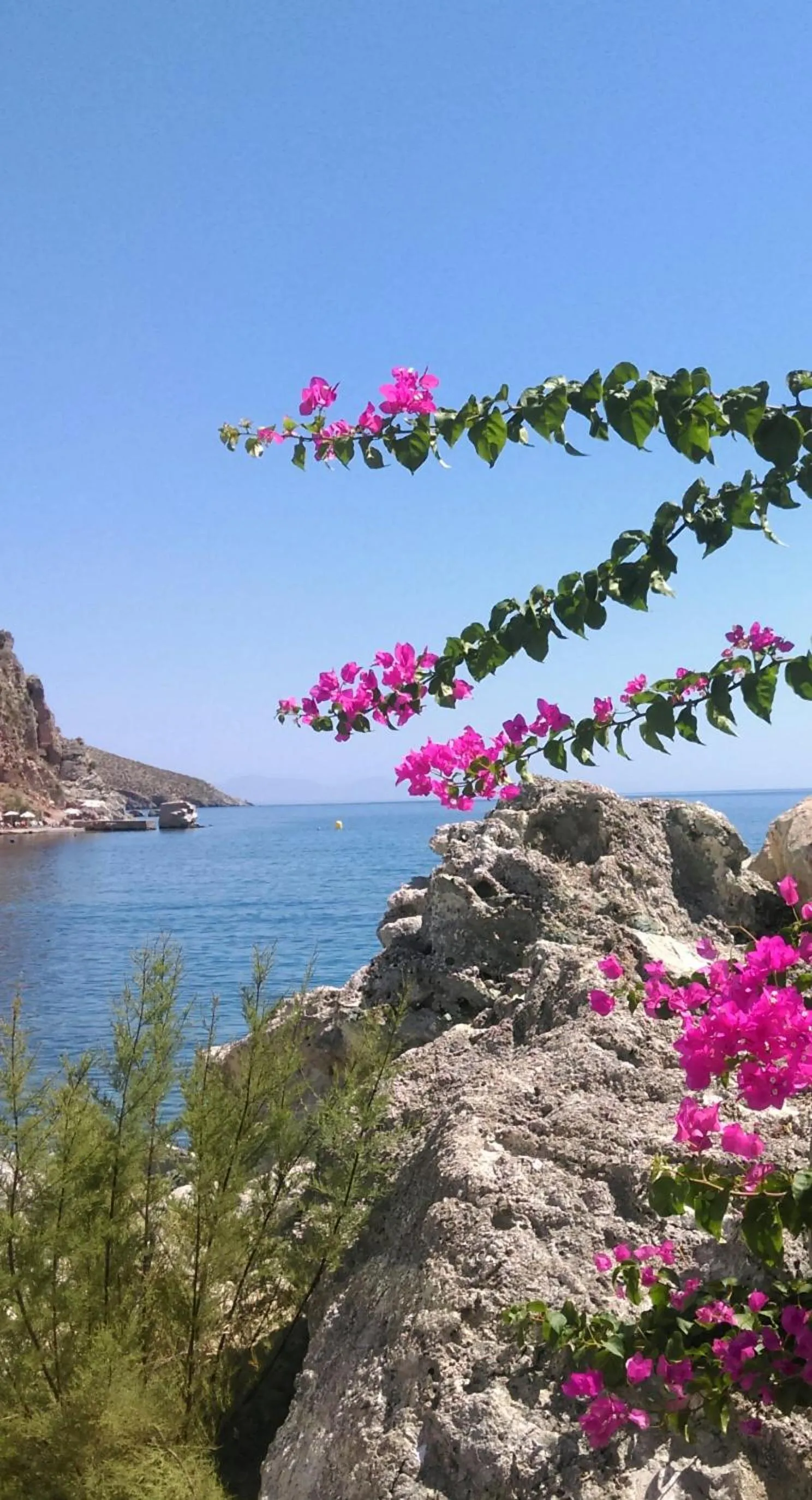 Balcony/Terrace in Boutique Hotel Tilos Mare