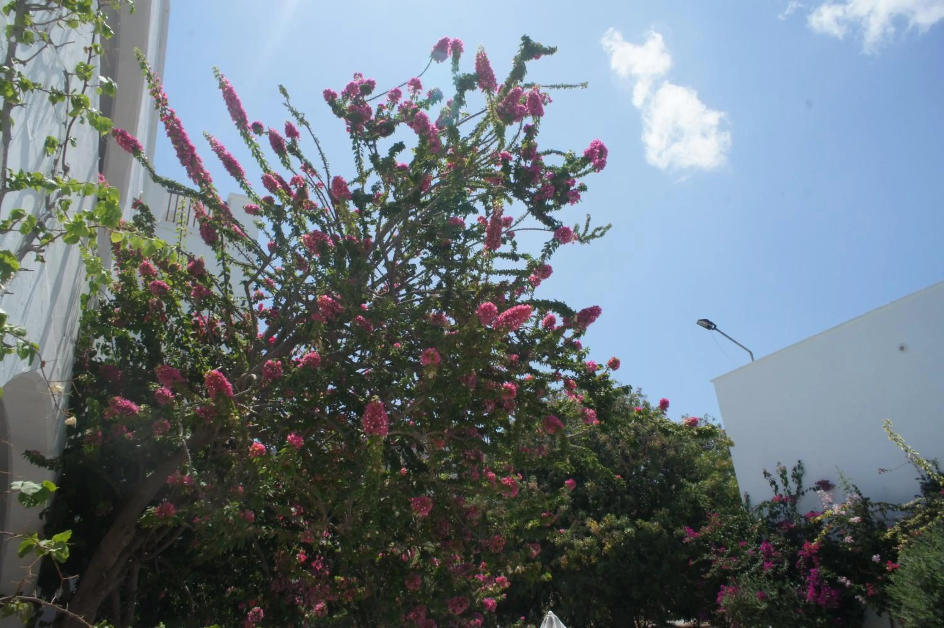 Decorative detail in Boutique Hotel Tilos Mare