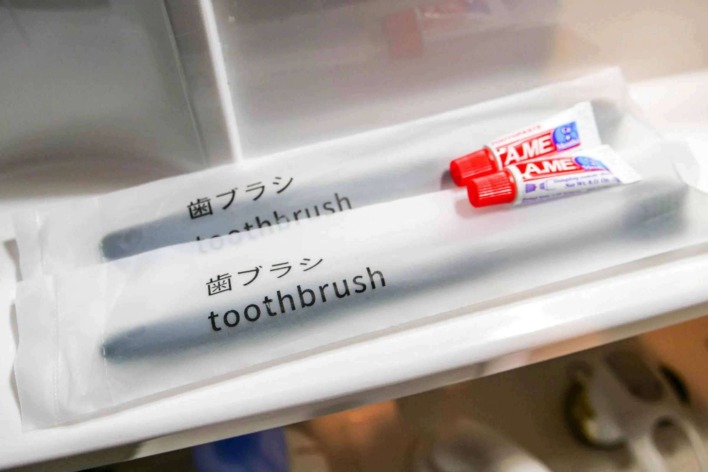 Mr Kintaro Hotel Asakusa South