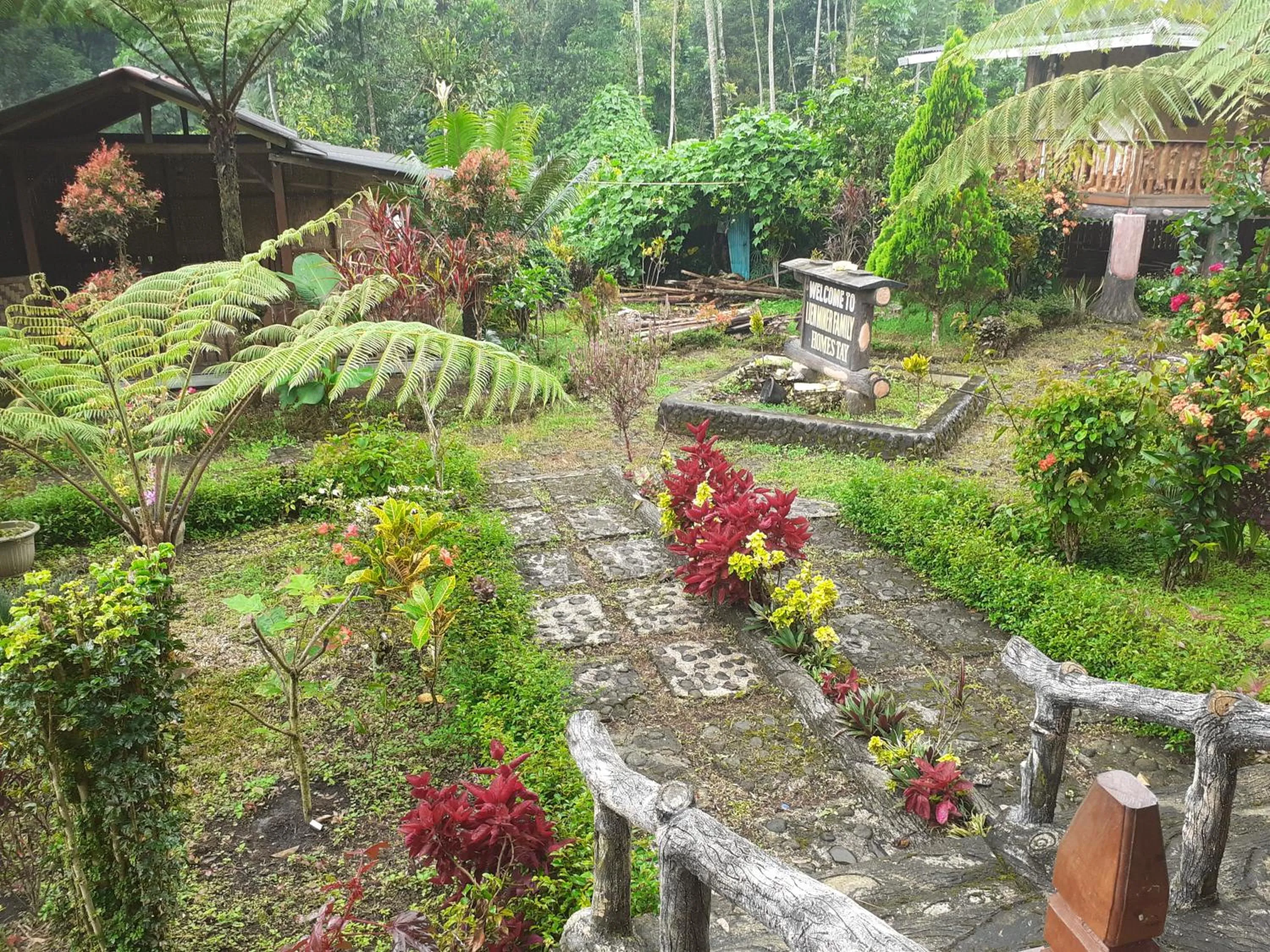 Garden in Ijen Miner Family Homestay