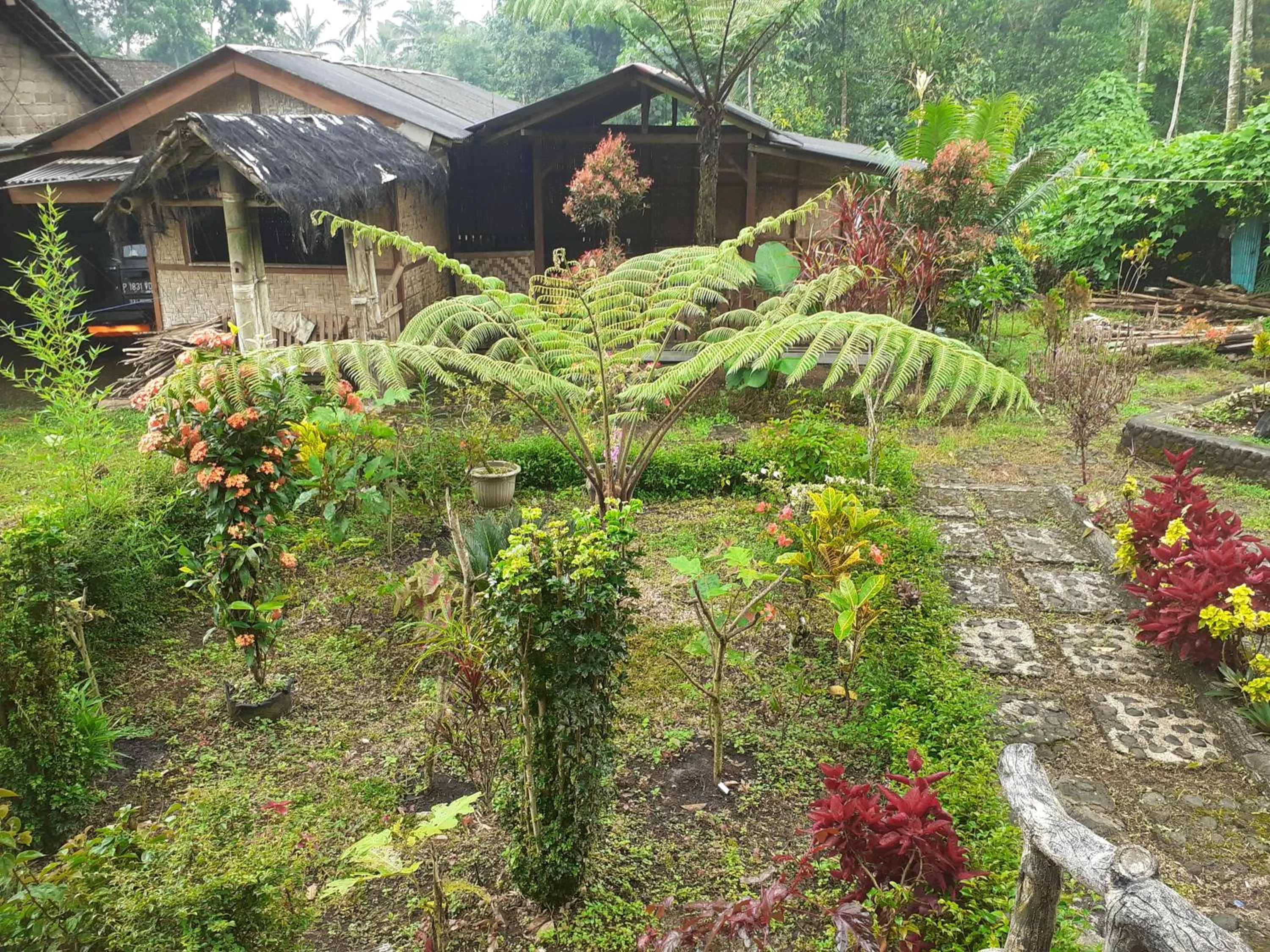 Ijen Miner Family Homestay