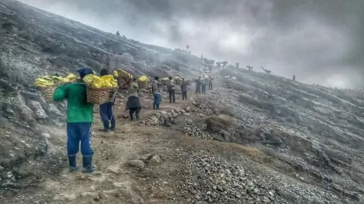 Activities in Ijen Miner Family Homestay