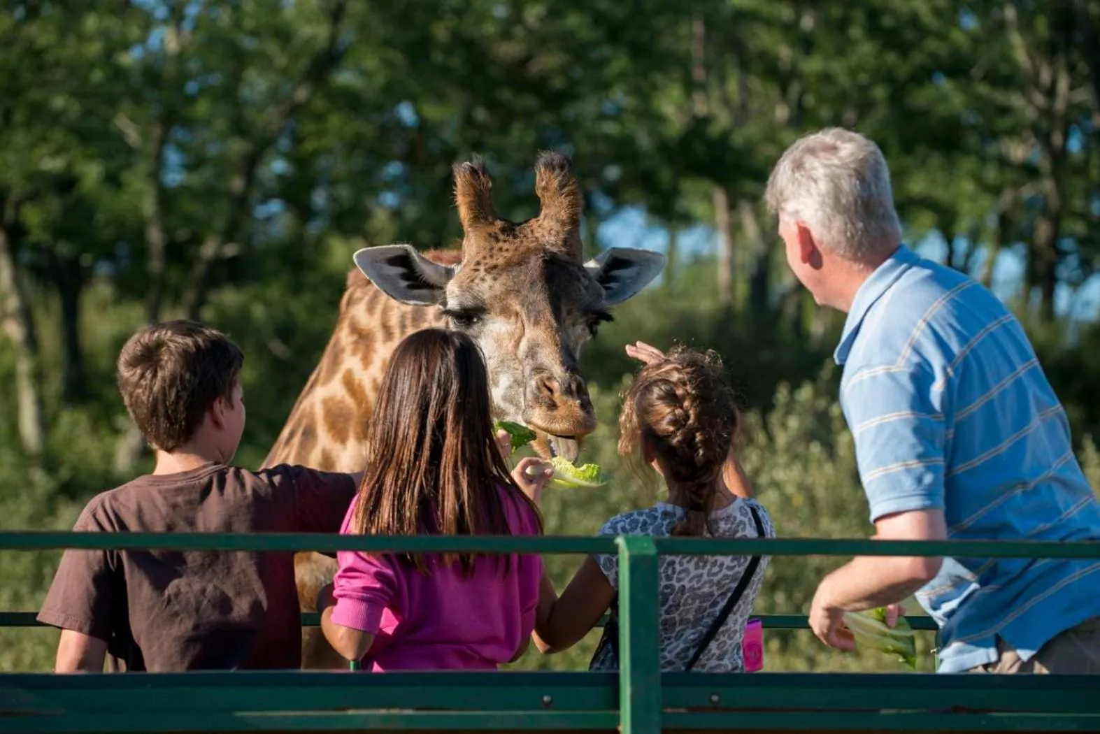 Activities in Hyatt Place Columbus Polaris