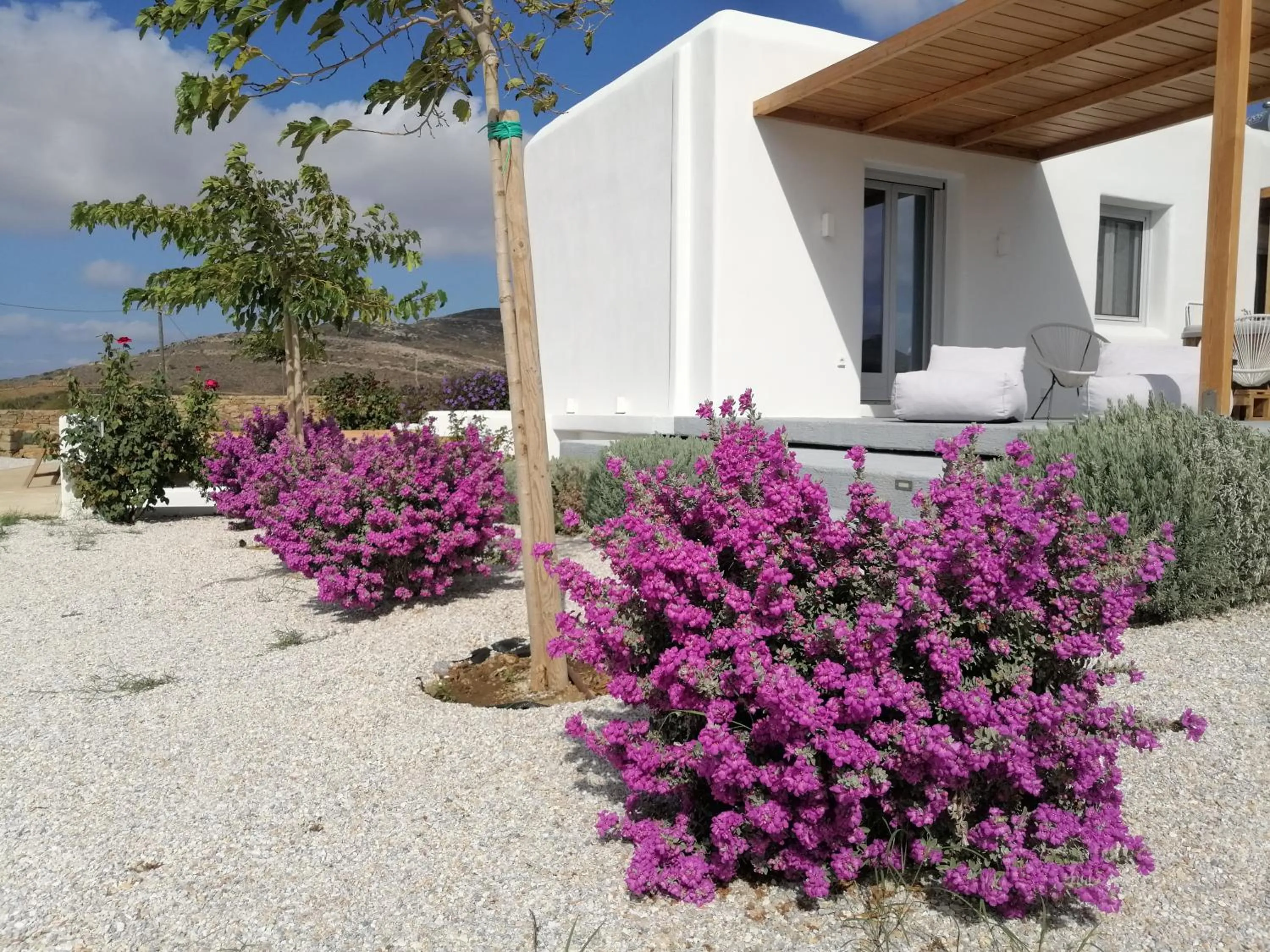 Property building in Xerolithos Natural Living