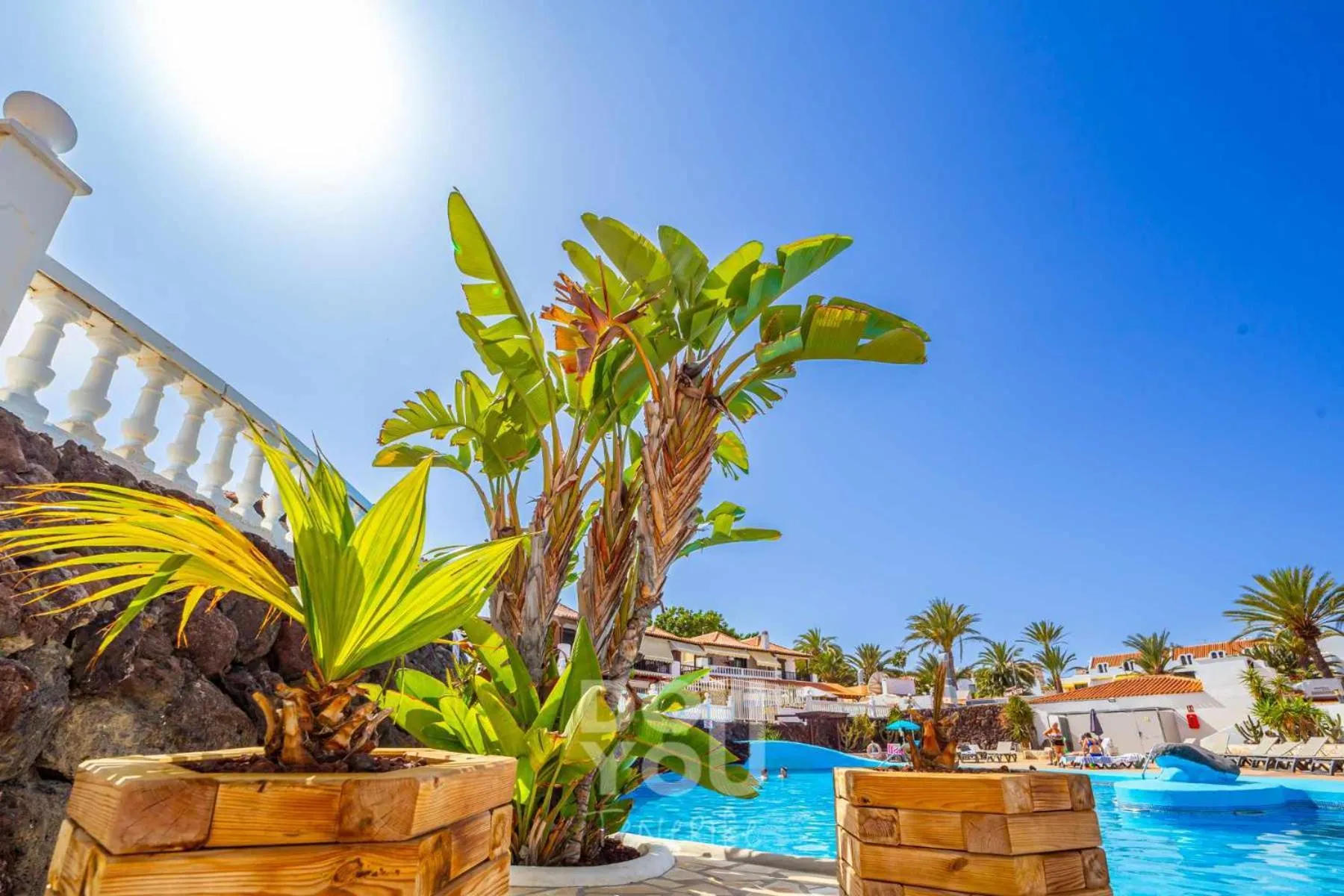 Day in Apartment Paraiso Royal