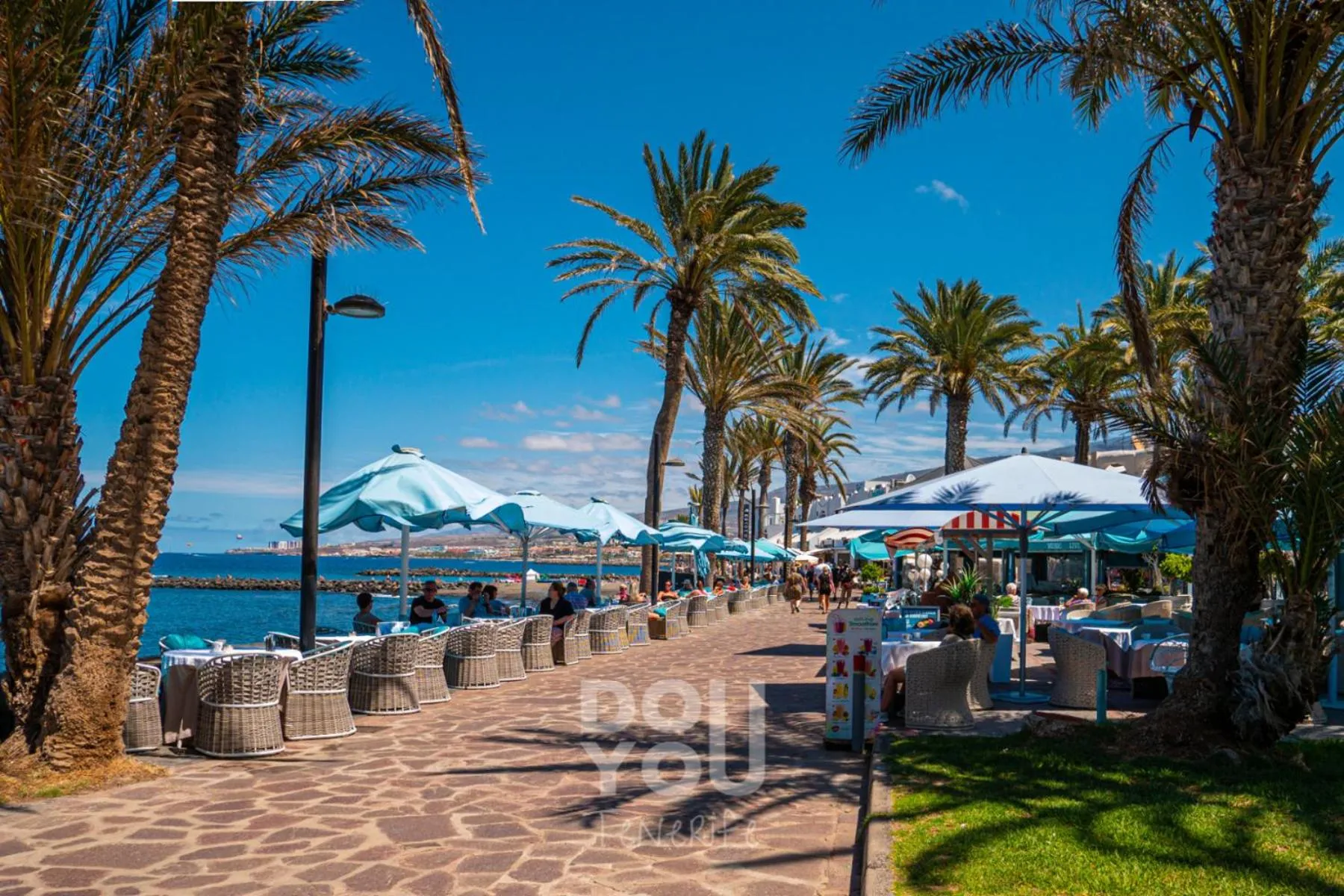 Area and facilities in Apartment Paraiso Royal