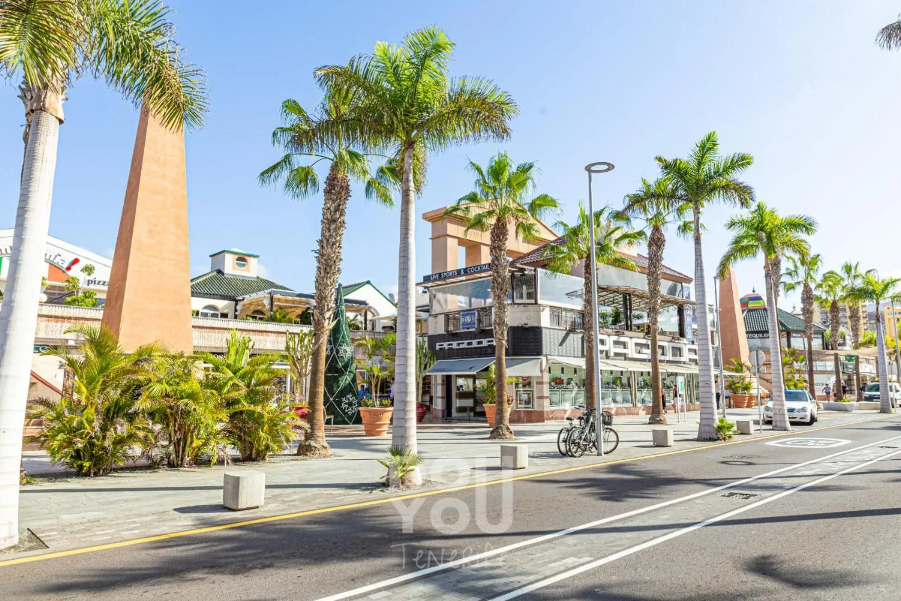 Area and facilities in Apartment Paraiso Royal