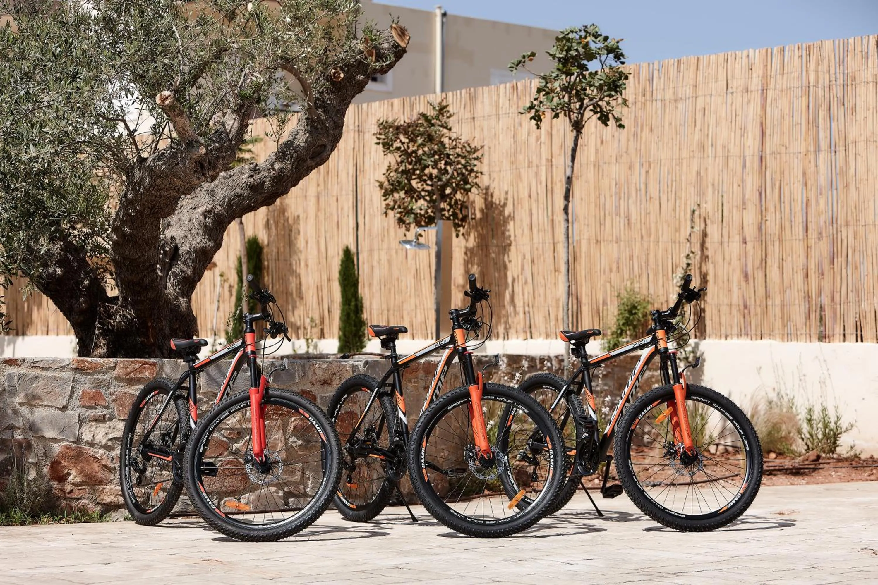 Activities in Volta Suites and Villas