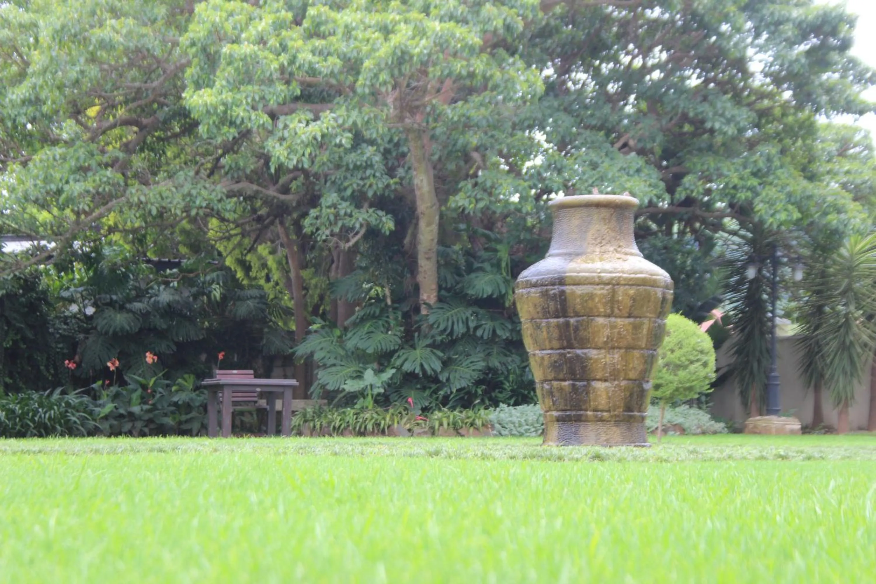 Garden in Villa Beryl Guesthouse