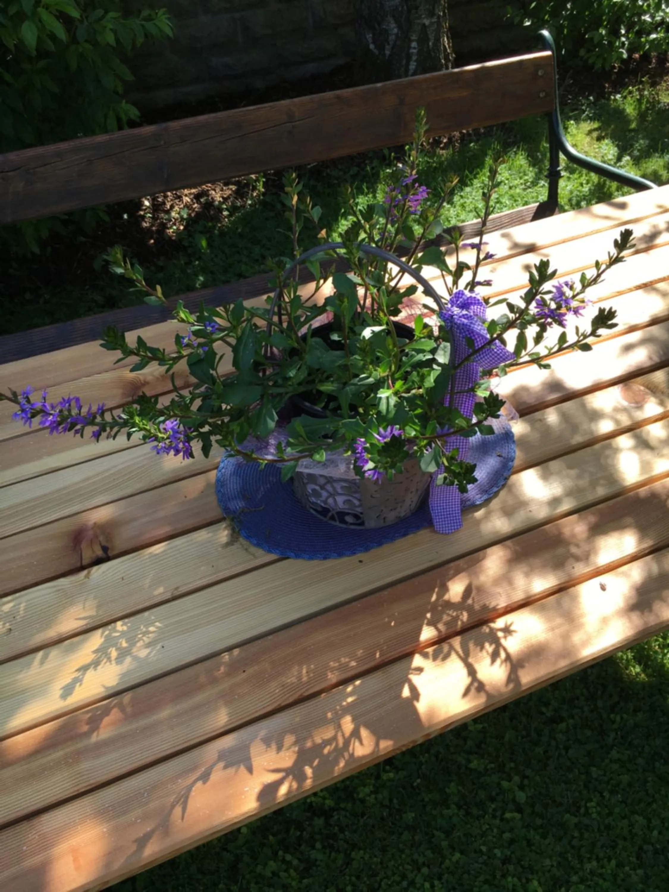 Day in Aparthotel Kristall