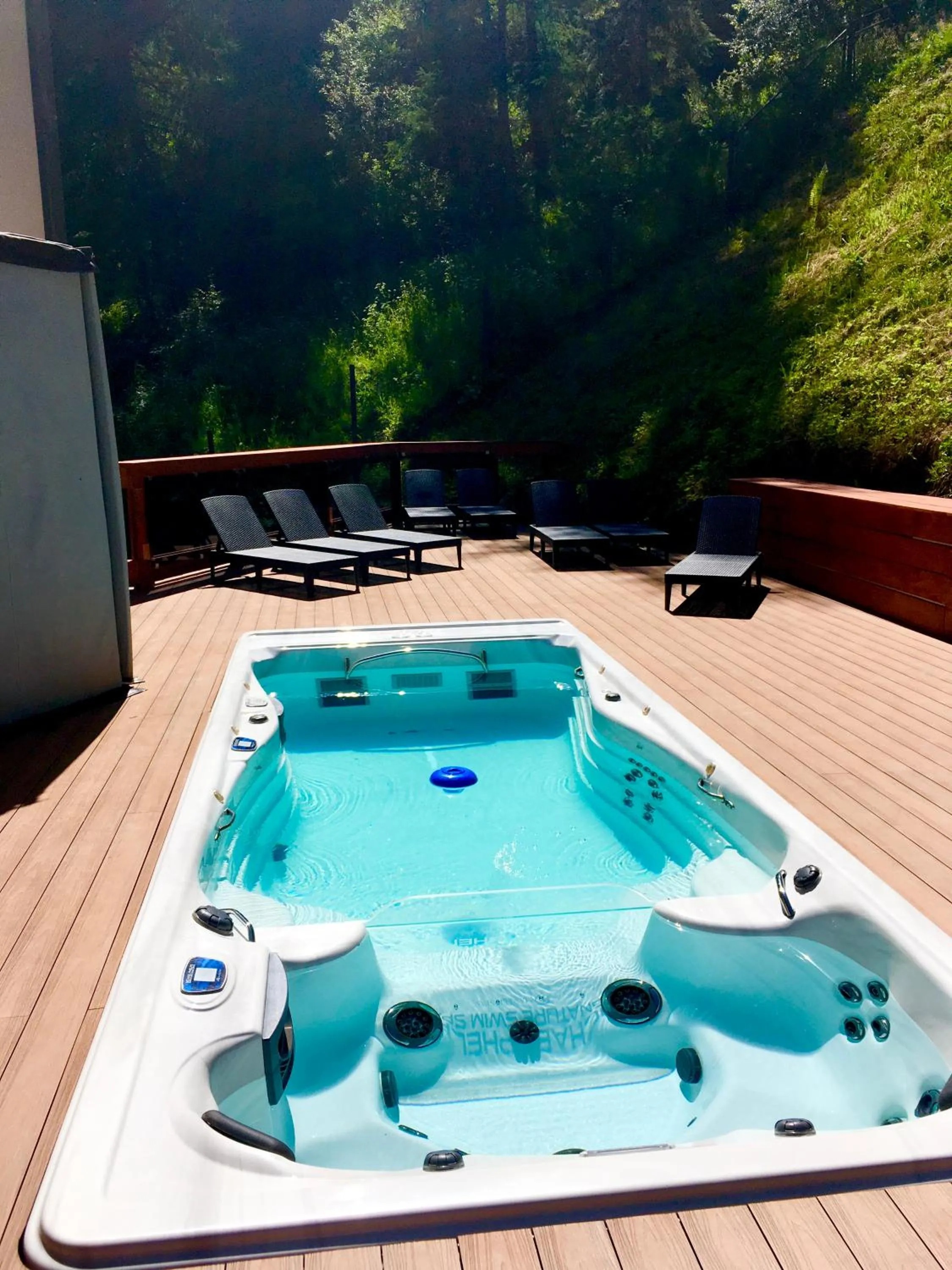 Swimming pool in Wójcik SPA - Krynica Zdrój