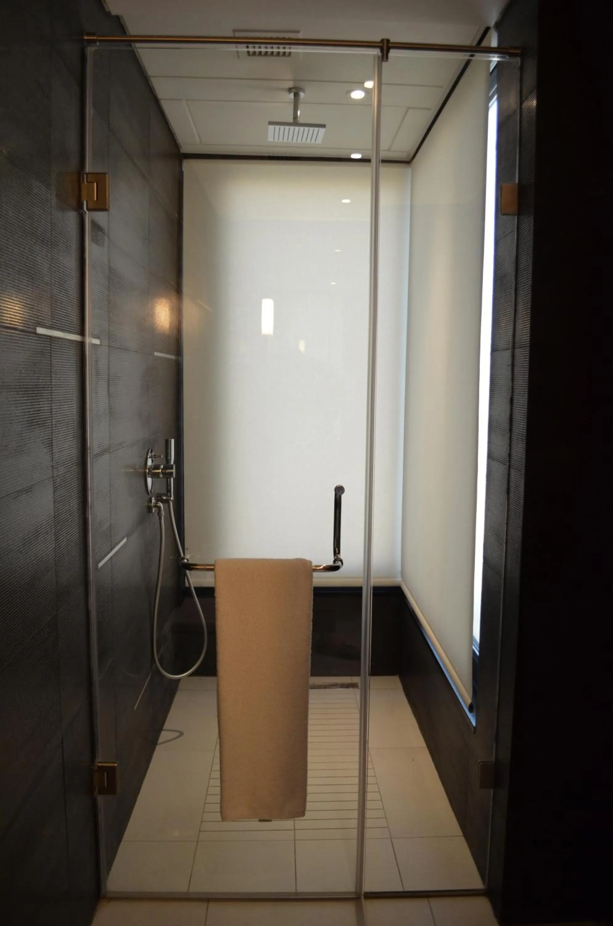 Shower in Warwick Stone 55 Hotel Beirut