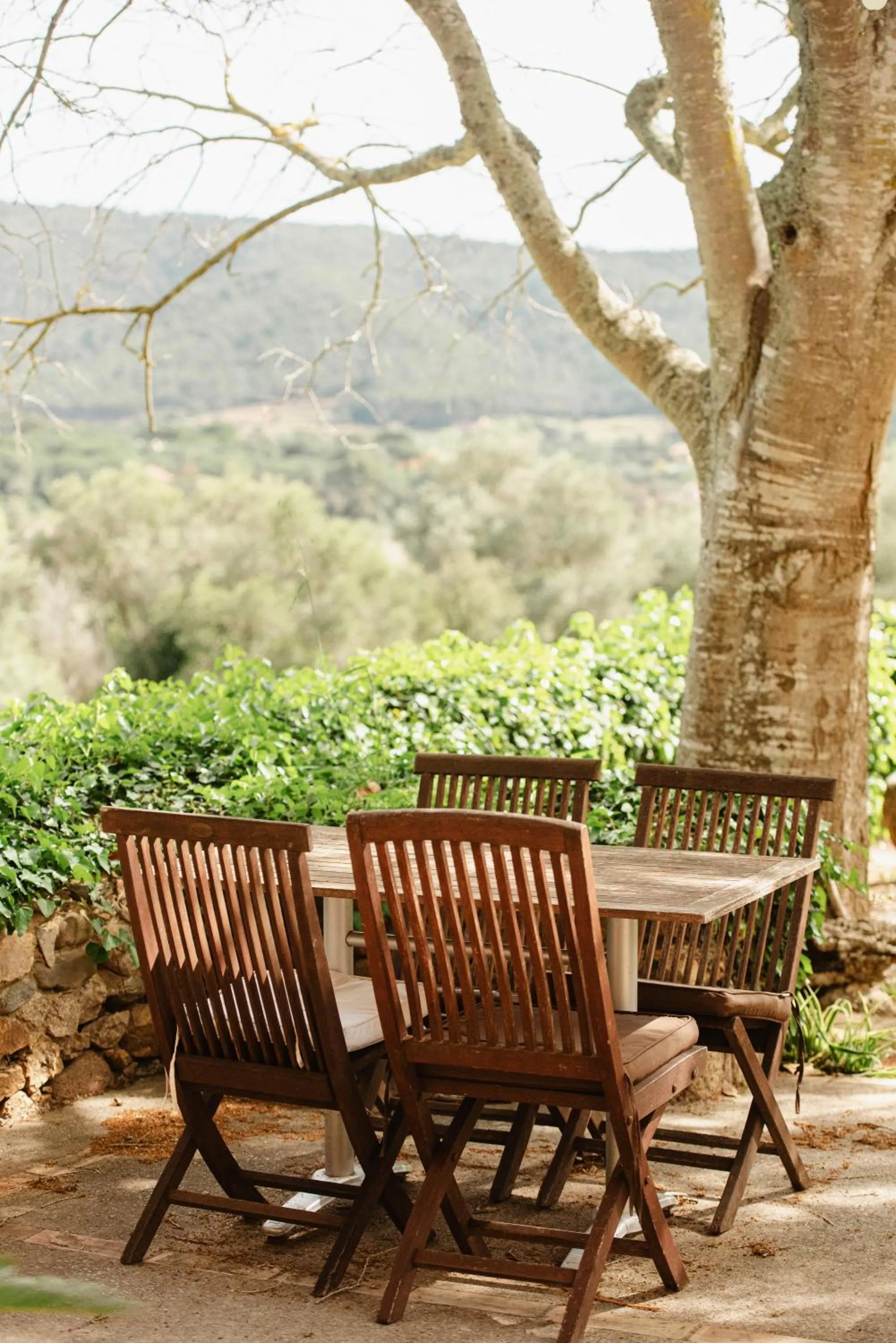 Balcony/Terrace in Can Margarit