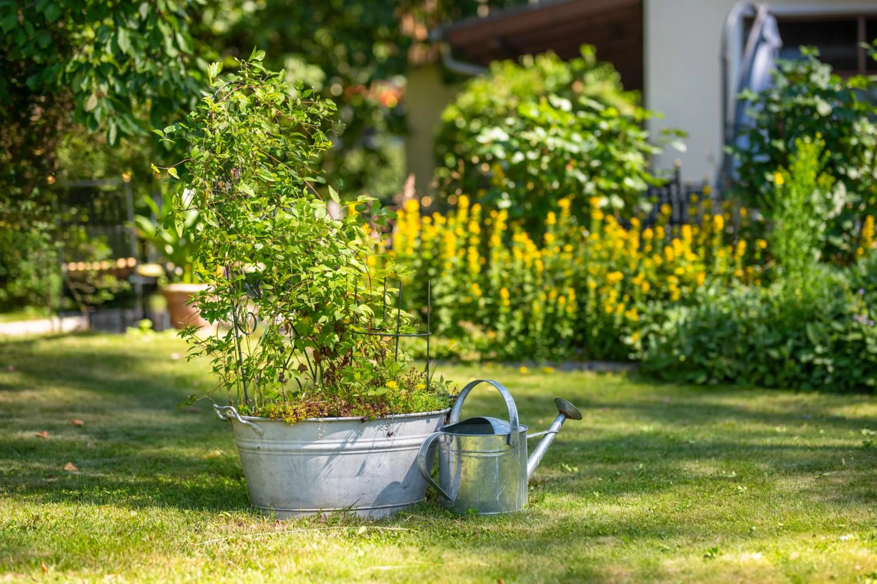 Spring in Landhotel Lindenhof