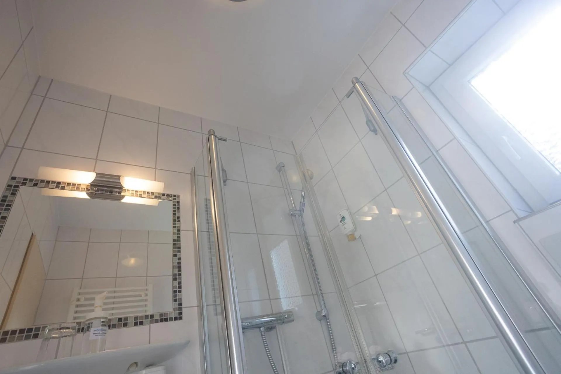 Shower in Stadt-gut-Hotel Siegboot