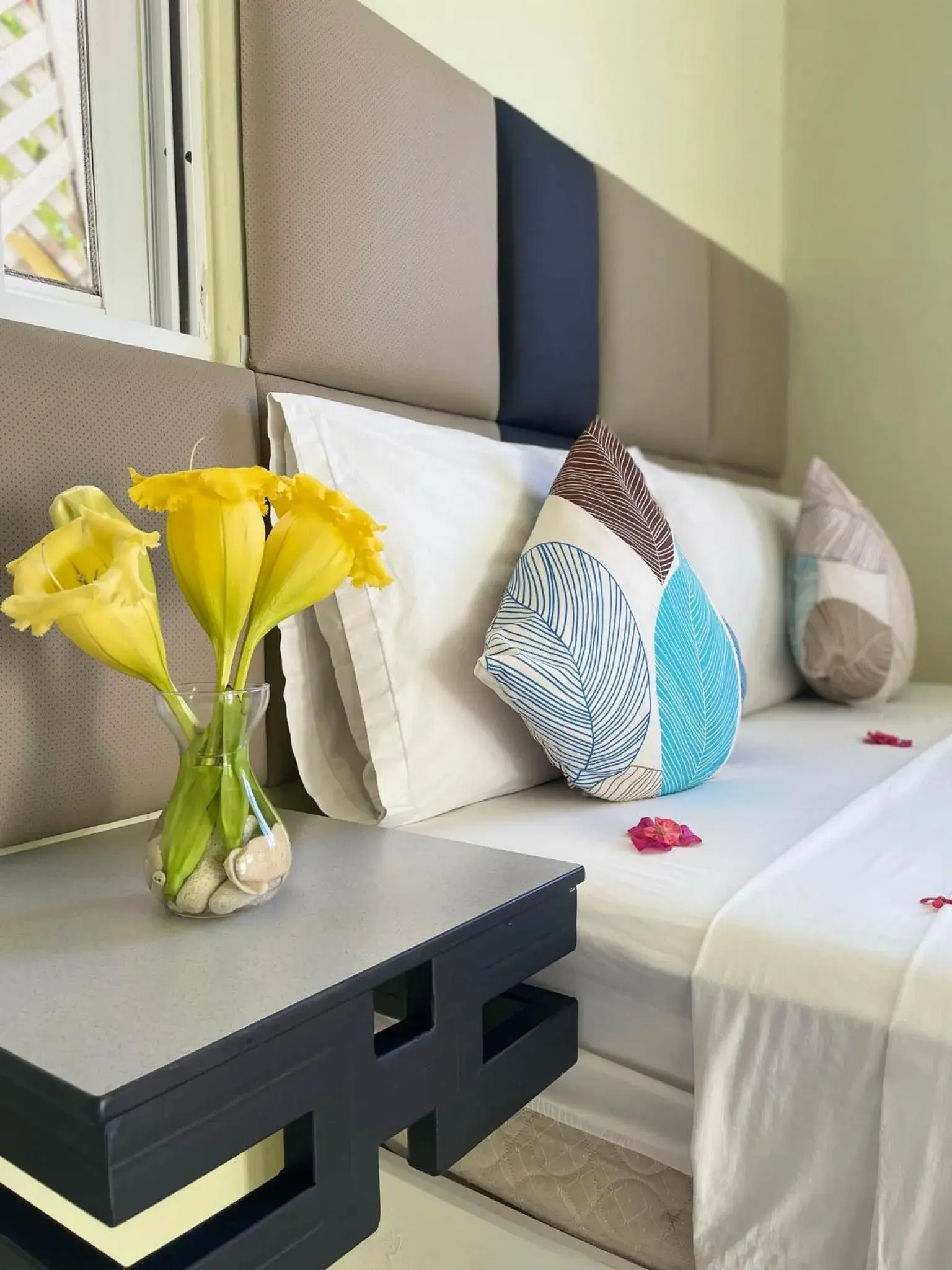 Standard Twin Room - single occupancy in Villa Iguana Standard Twin Room - single occupancy in Villa Iguana