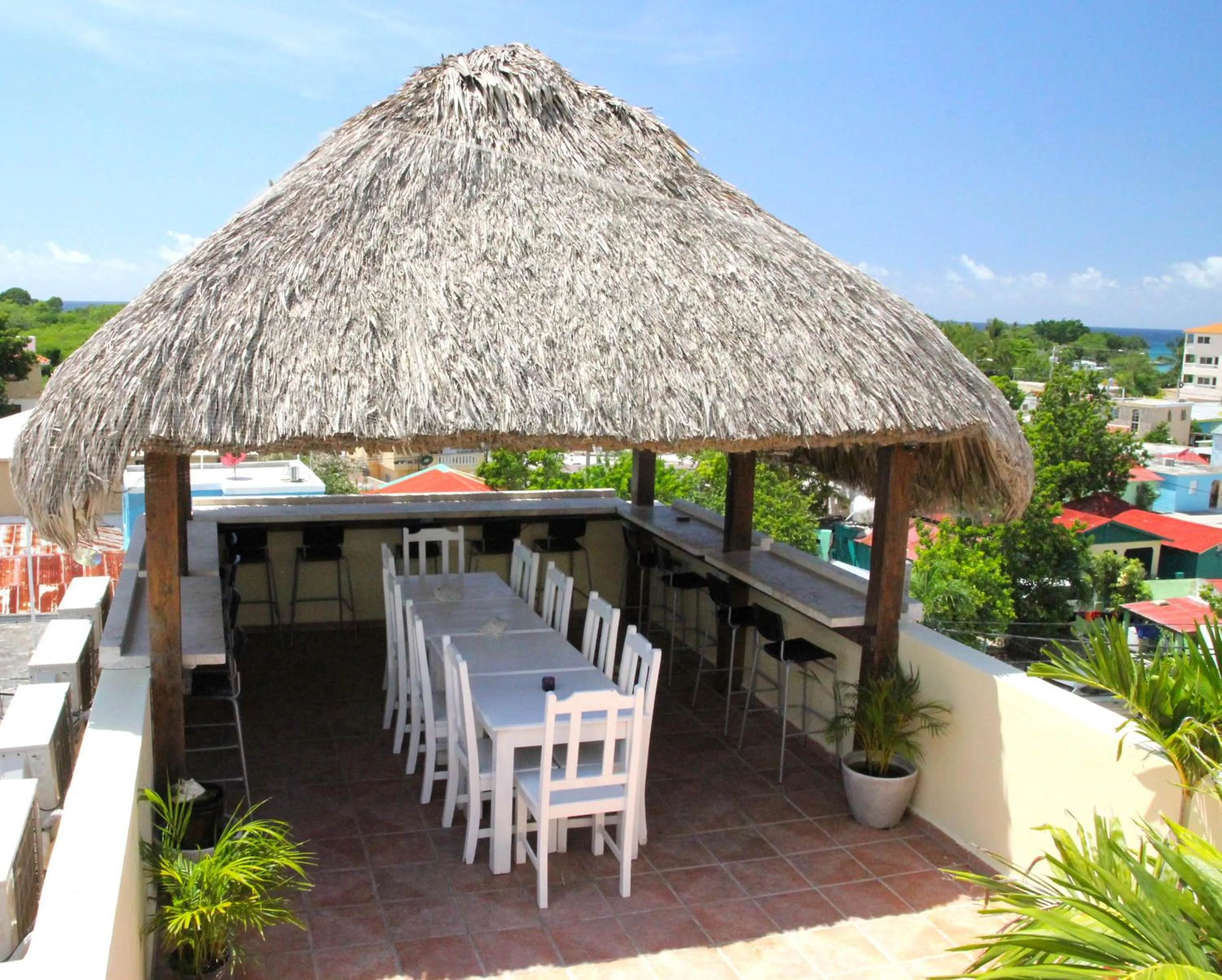 Patio in Villa Iguana