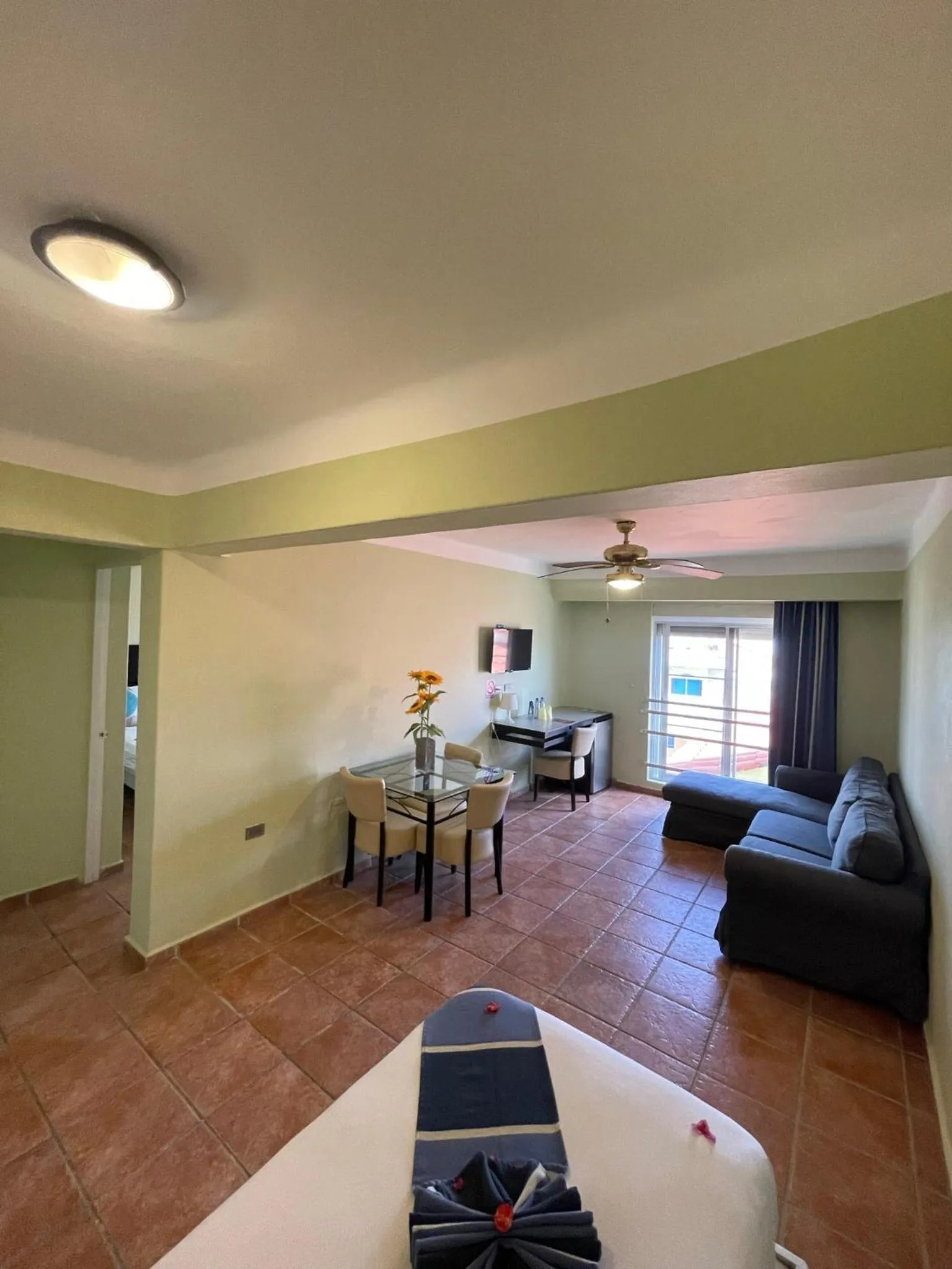 Living room in Villa Iguana