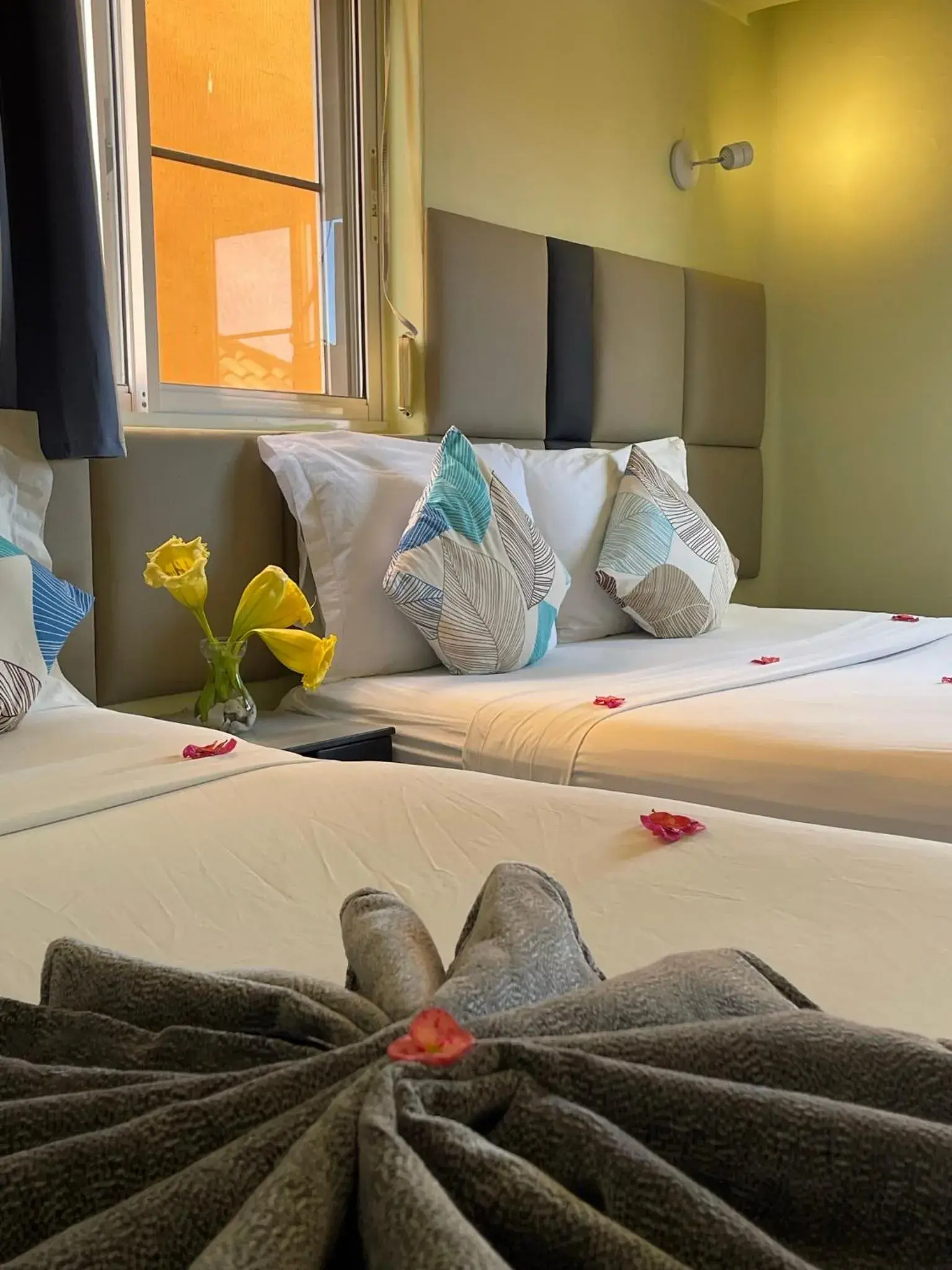 Family Room - single occupancy - Shell in Villa Iguana Family Room - single occupancy - Shell in Villa Iguana