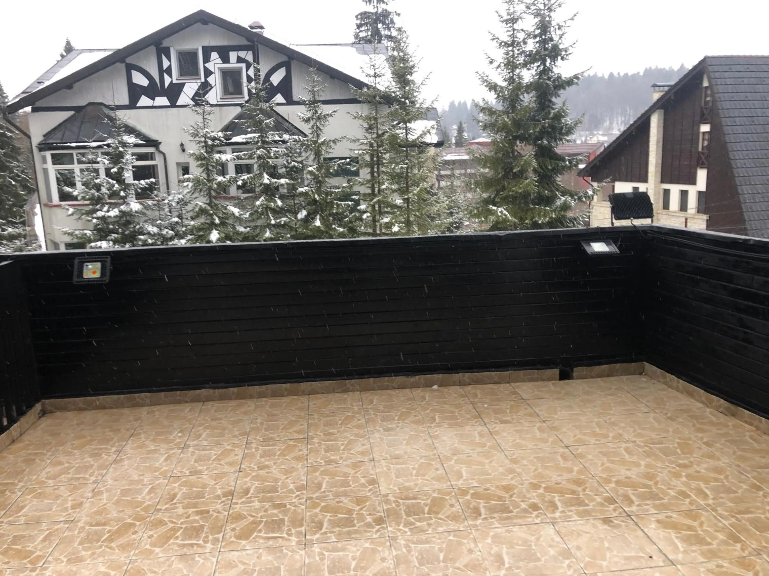 Winter in Mountain Breeze