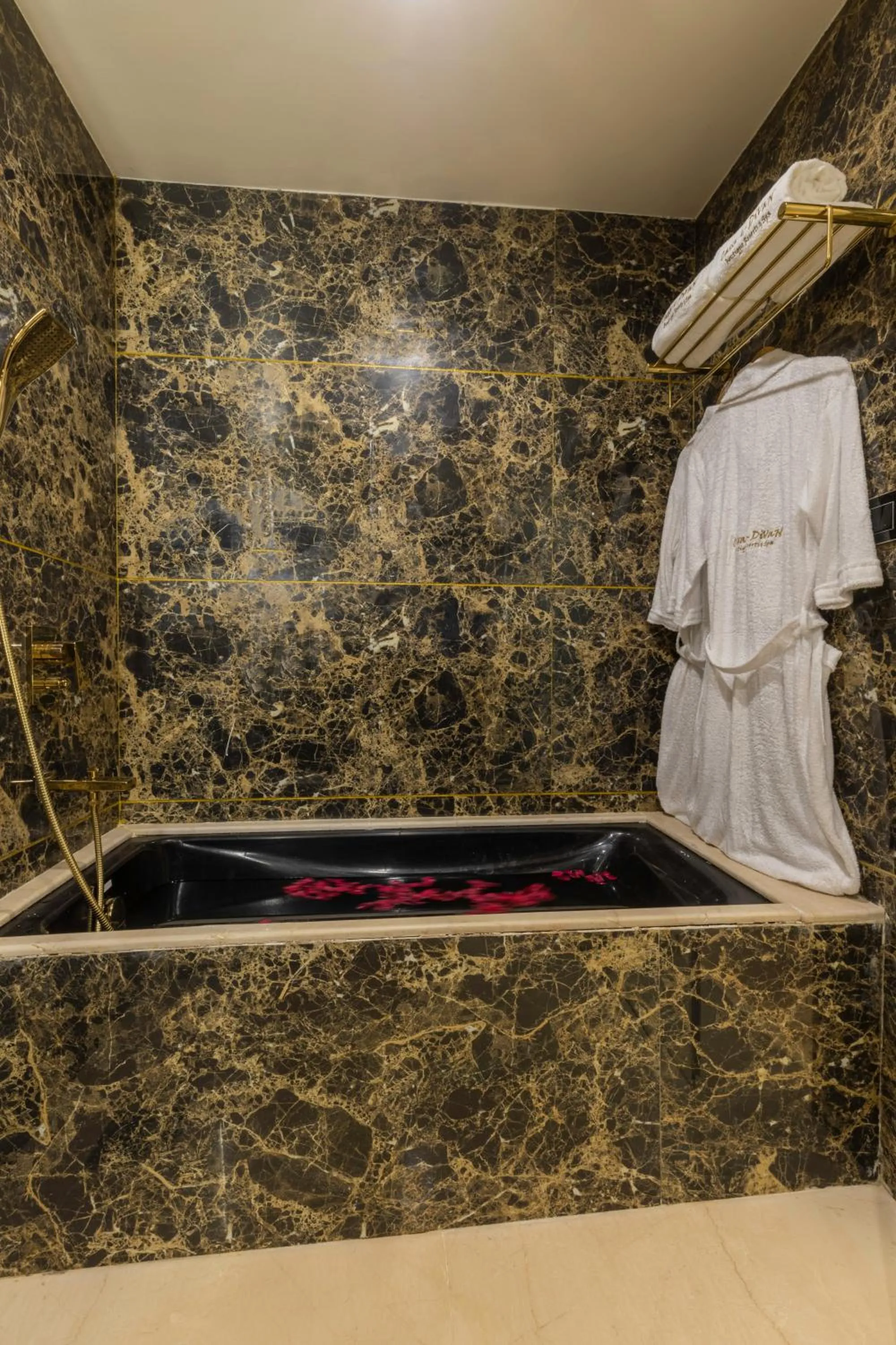 Toilet in Divan Clarks Inn Goa