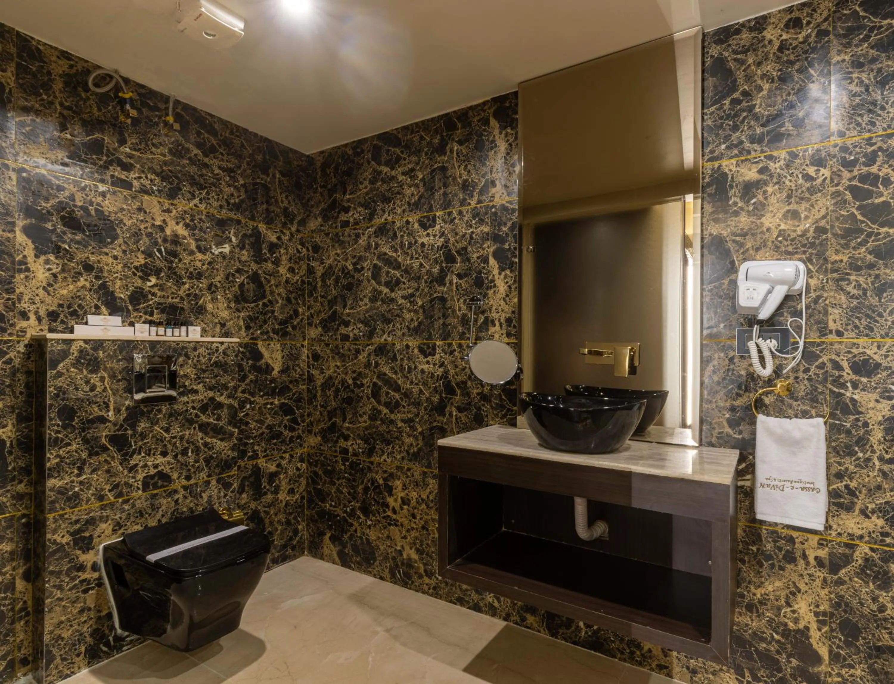 Toilet in Divan Clarks Inn Goa