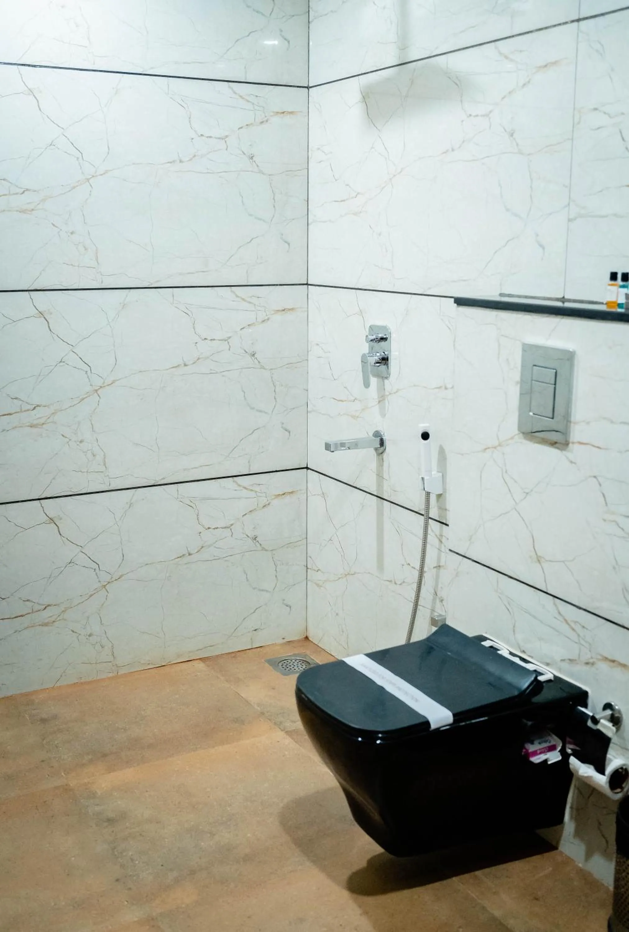 Toilet in Divan Clarks Inn Goa