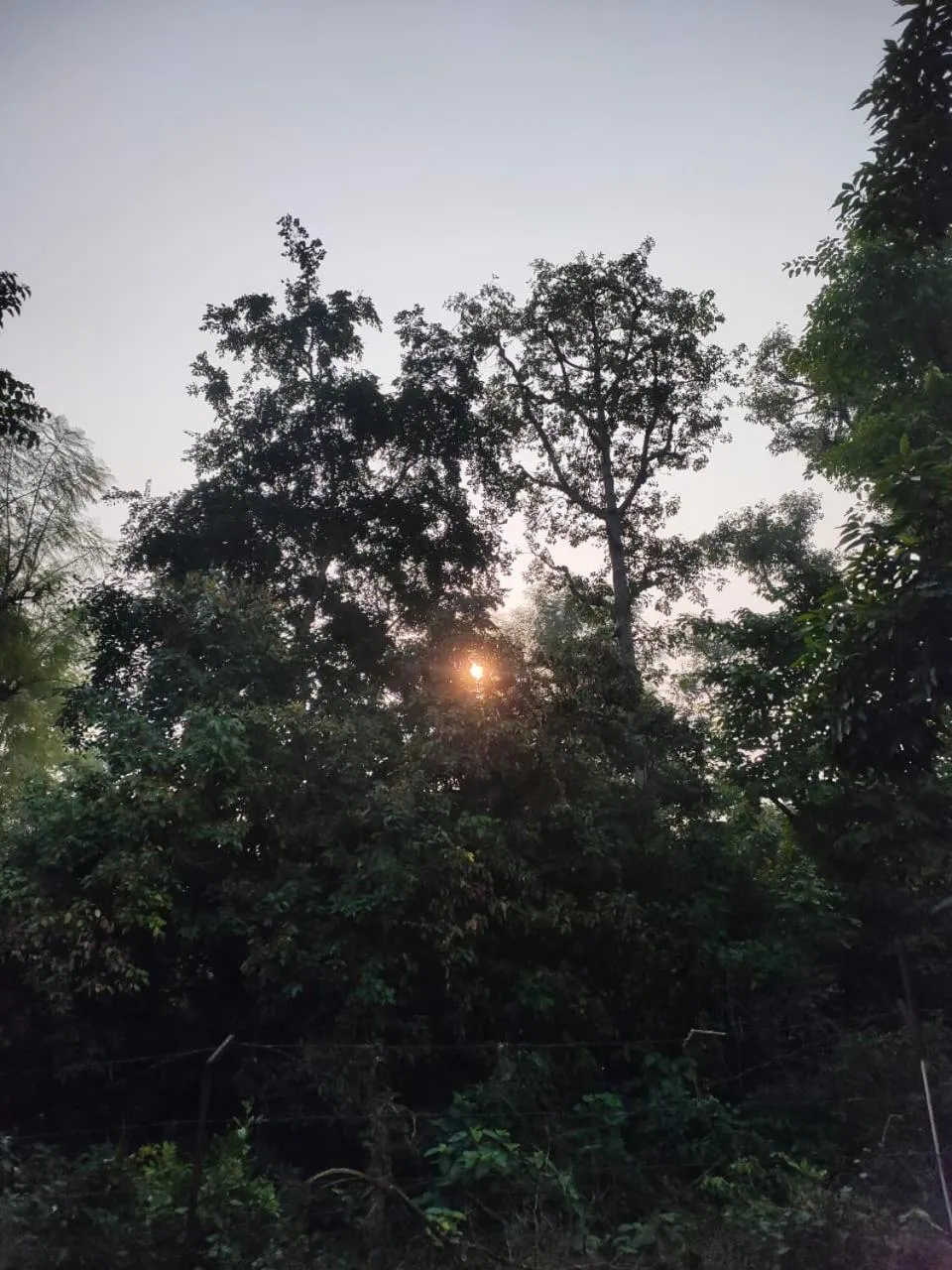 Natural landscape in Vanasthali Jungle Resort Jim Corbett