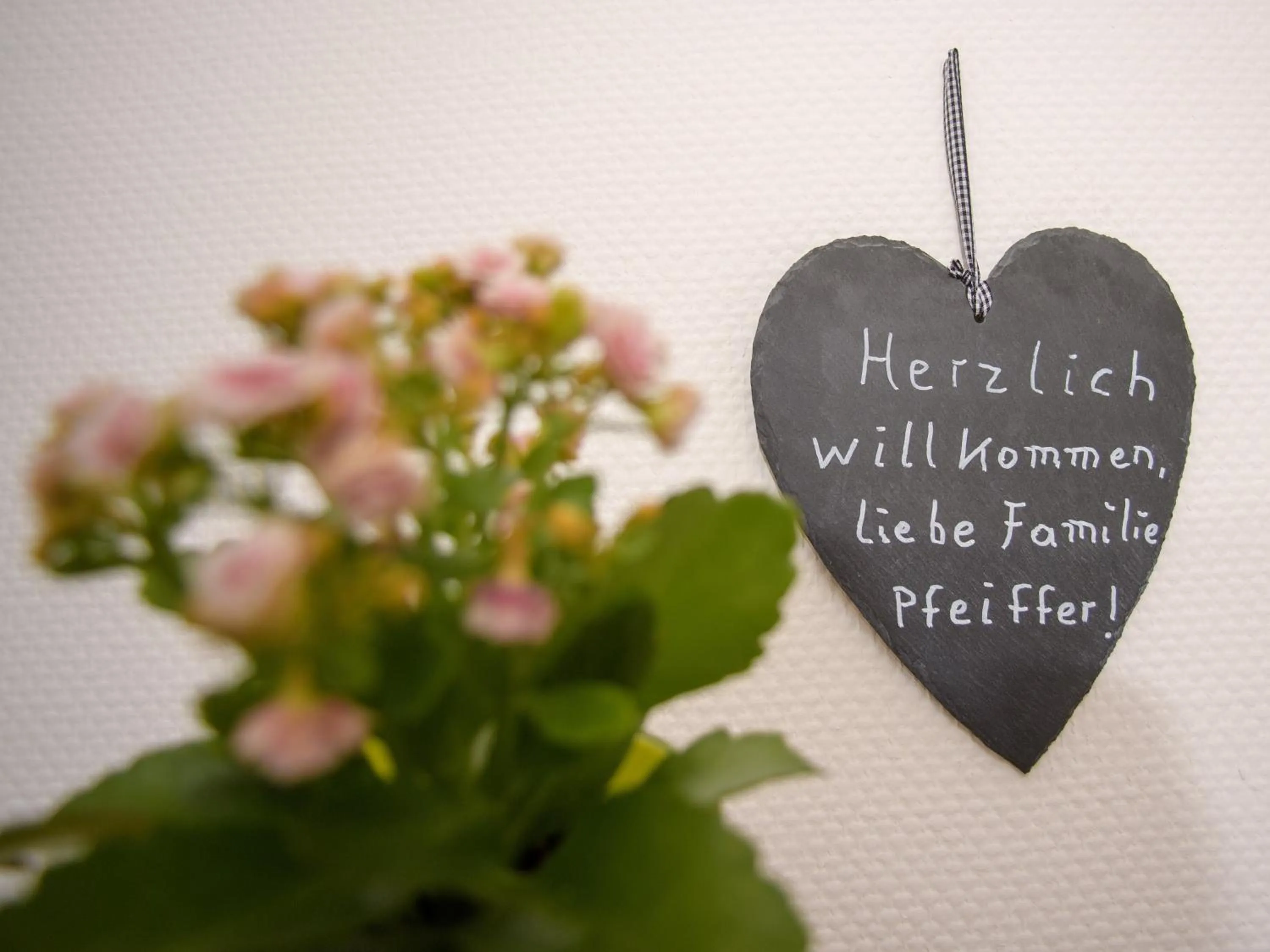 Other in Boutique-Hotel Jungenwald