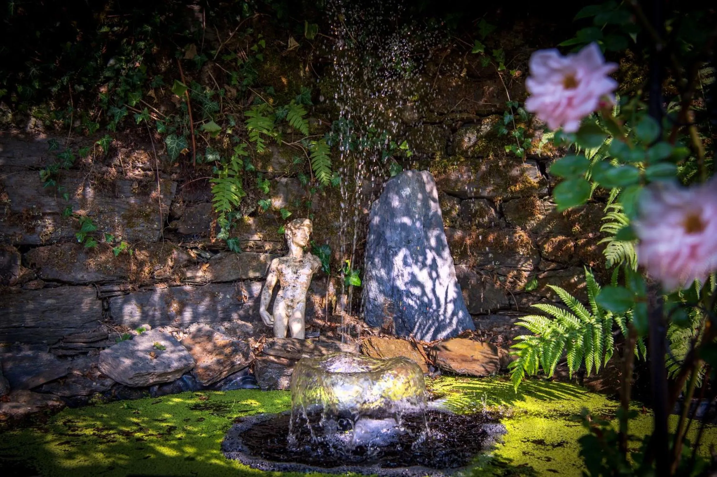 Activities, Other Animals in Boutique-Hotel Jungenwald