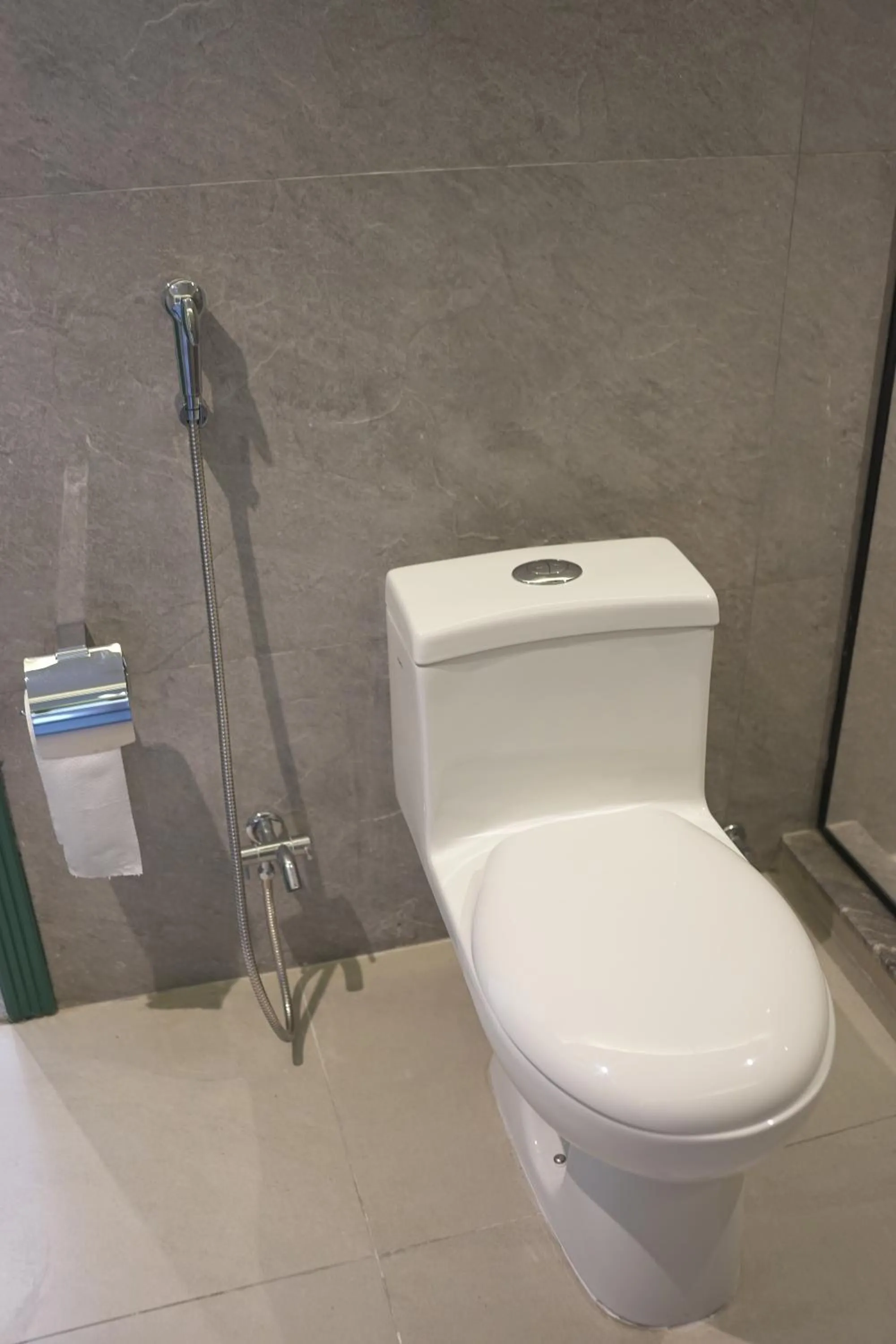 Toilet in Move-N-Pick Murree