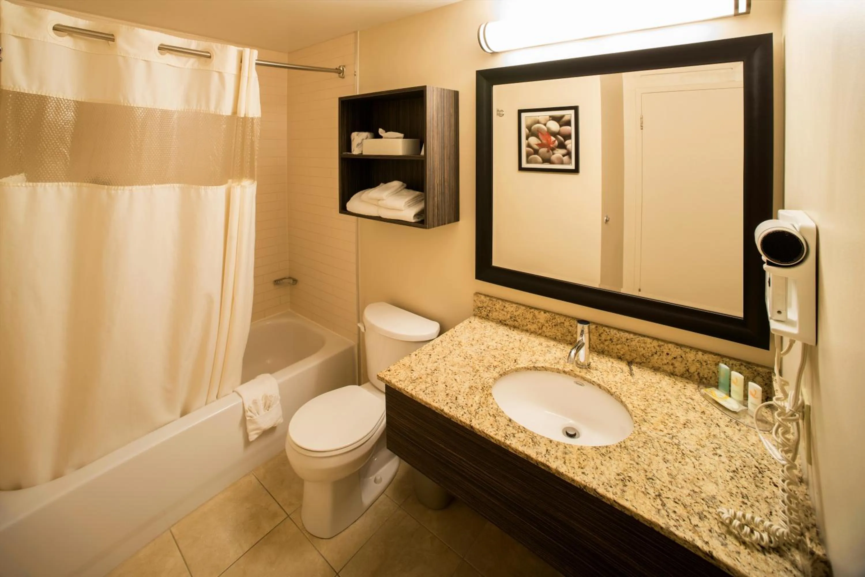 Bathroom in Quality Inn & Suites PE Trudeau Airport