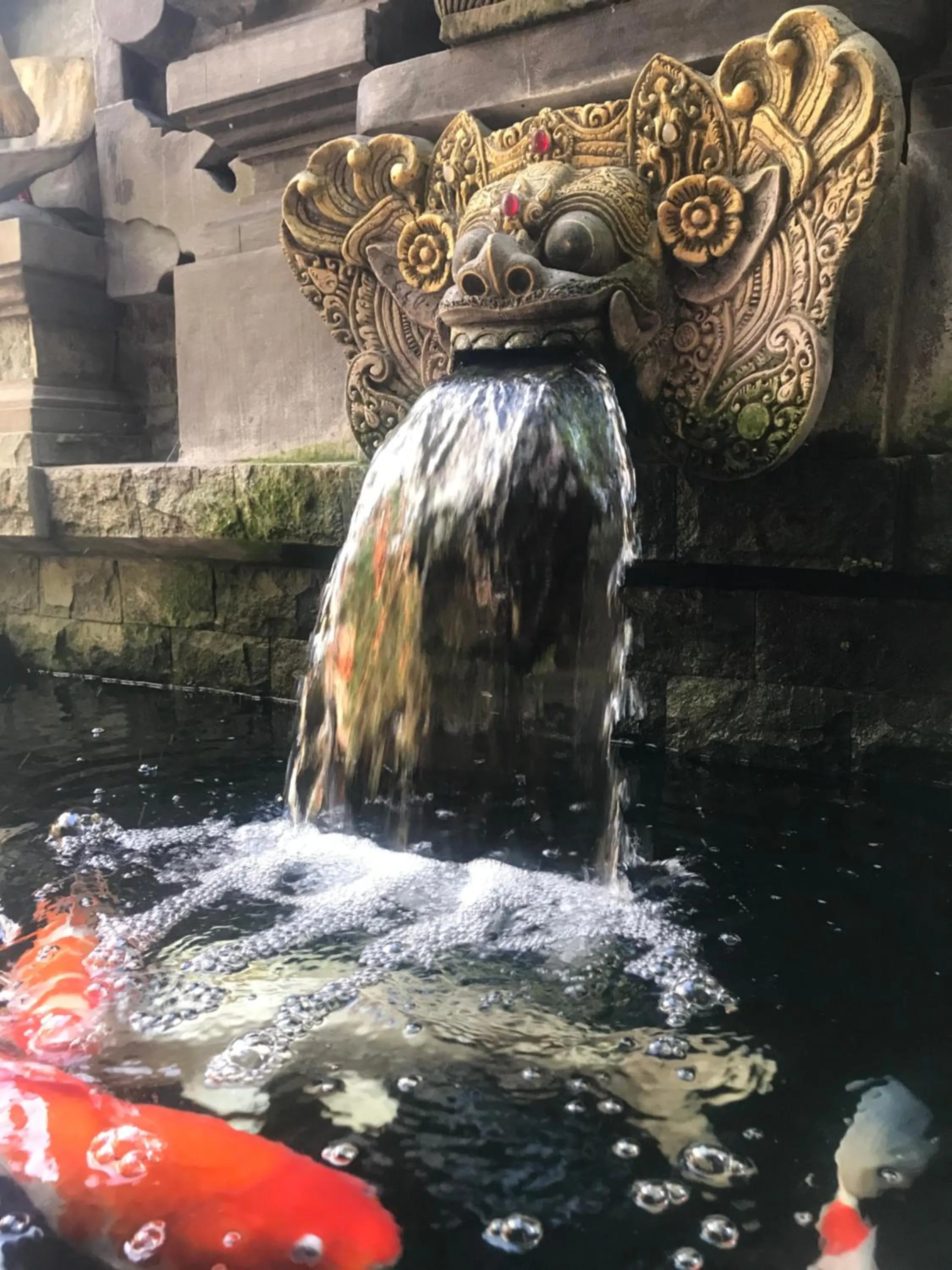 Day in Banana Home Stay Ubud