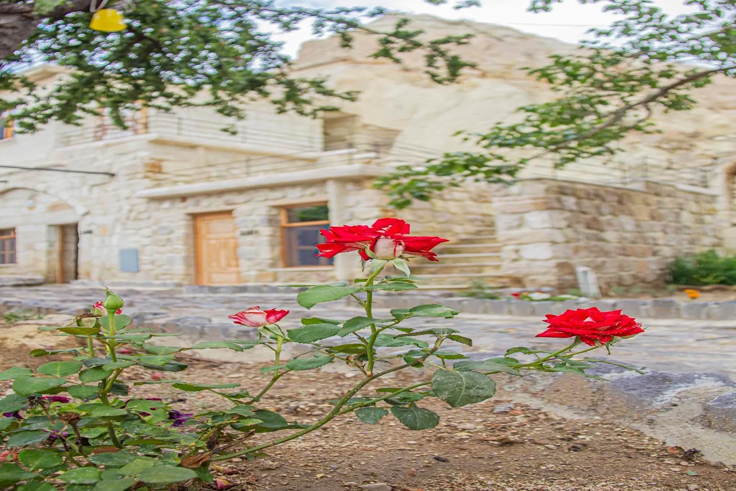 Property building in Junior Ottoman Cave
