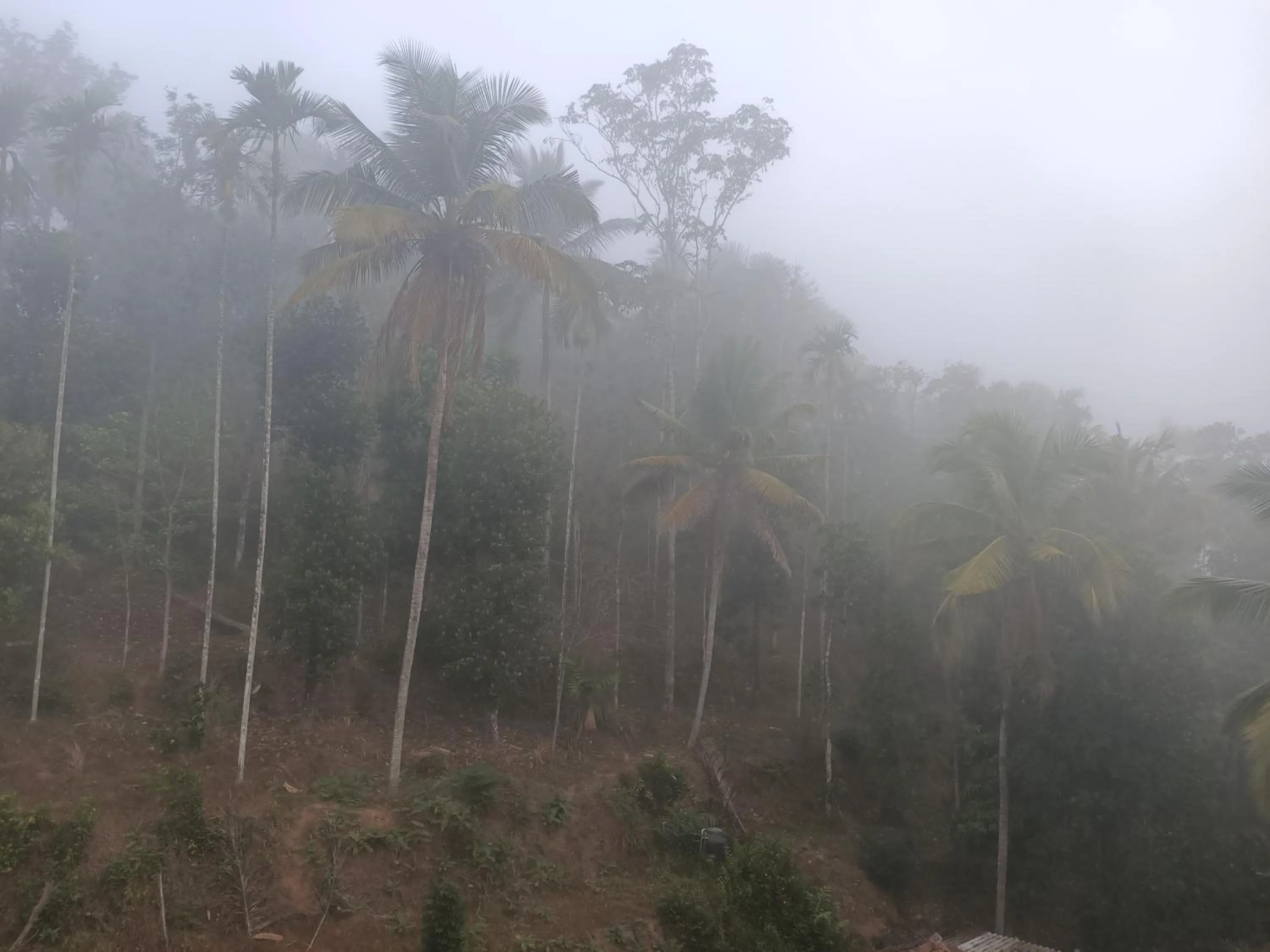 Day in Bethel Service Villa, Mananthavady, Wayanad