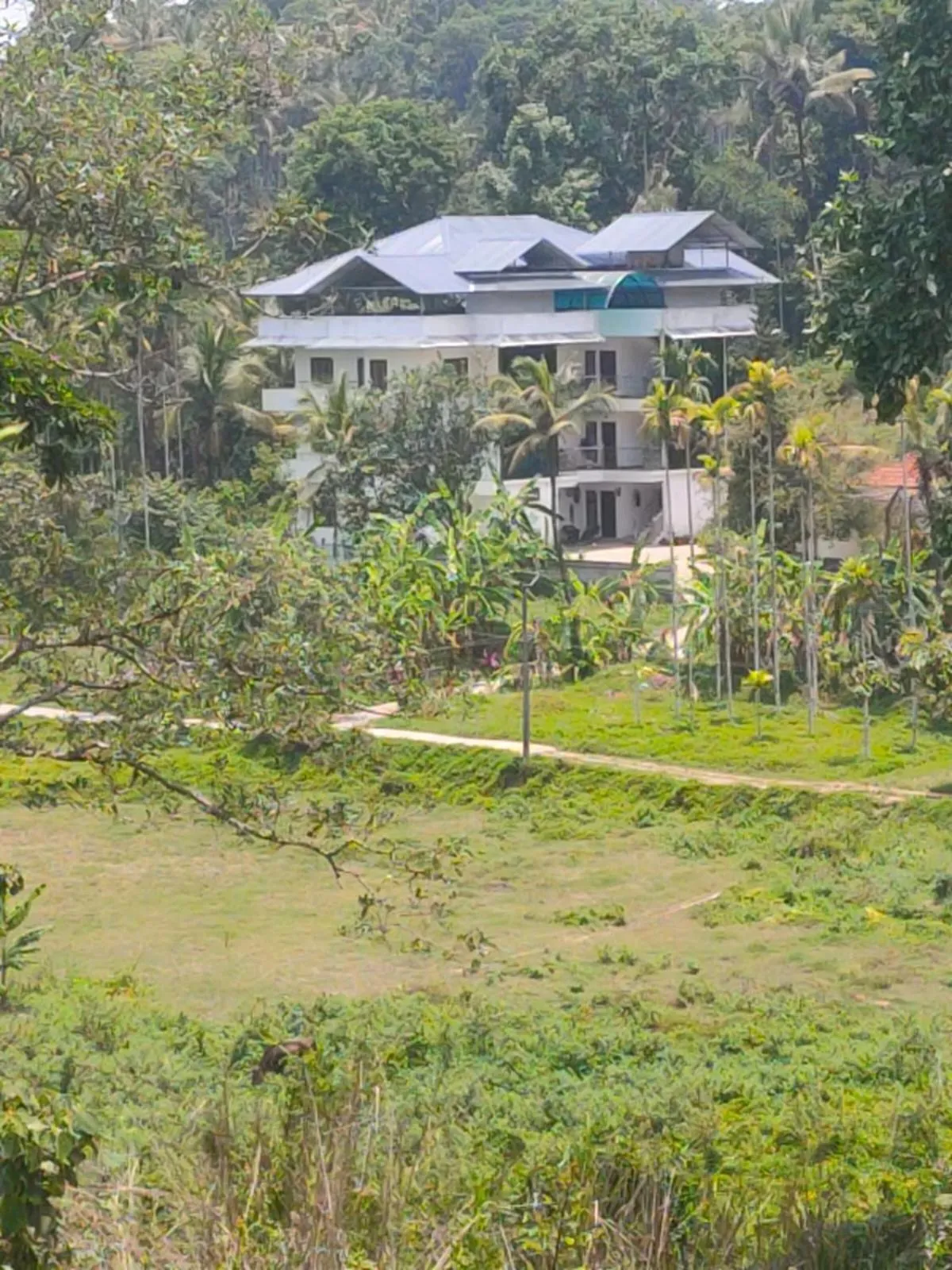 Property building in Bethel Service Villa, Mananthavady, Wayanad