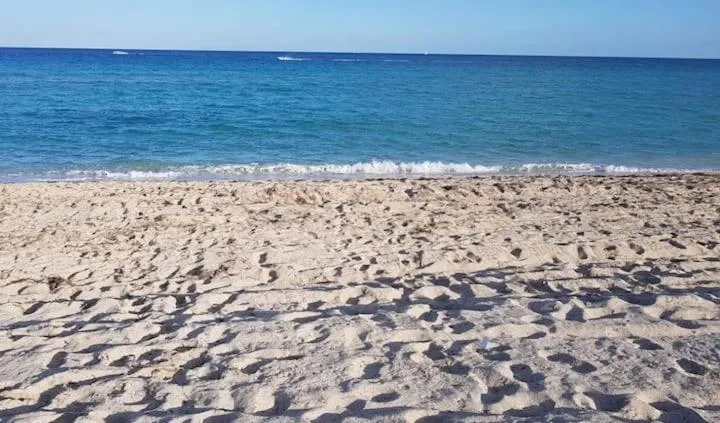 Beach in Beach Apartment at Condo-hotel