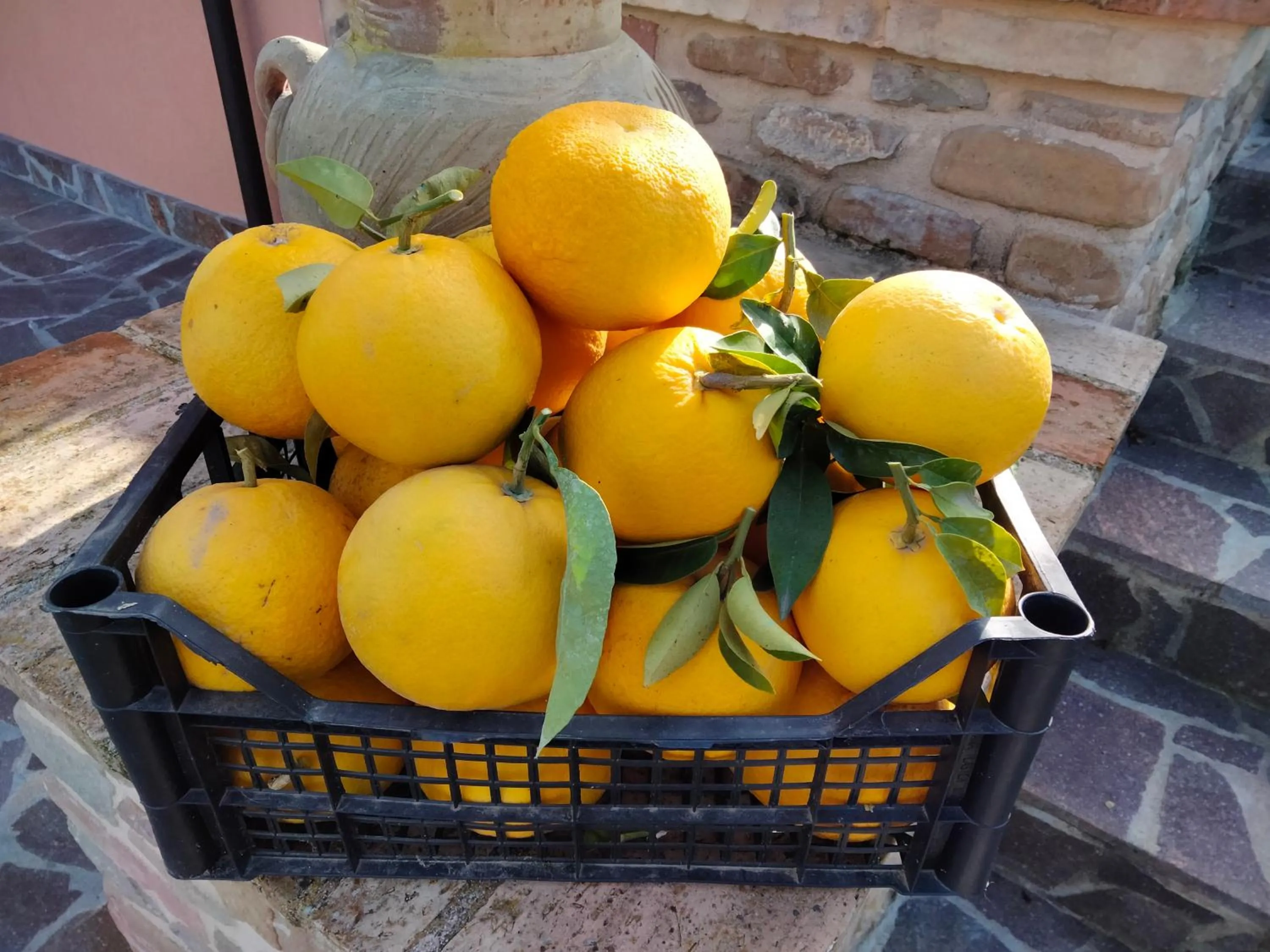 Breakfast in B&B La Casa di Giuliana