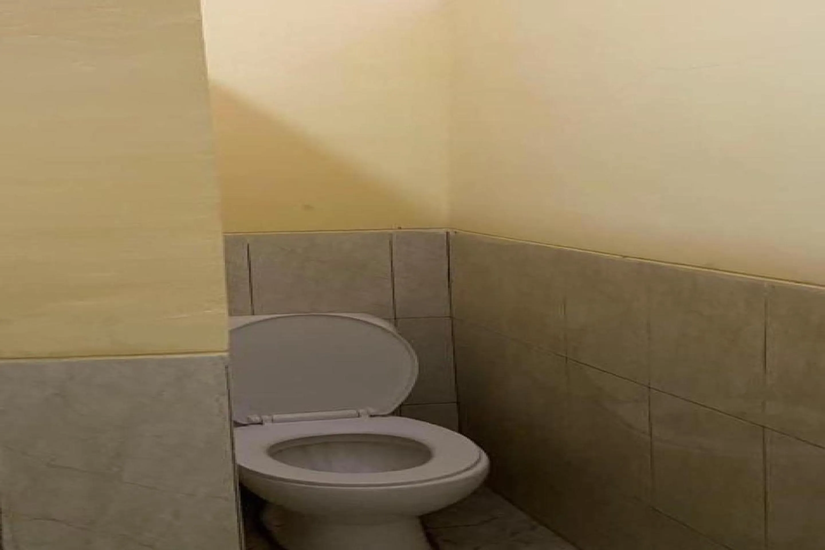 Bathroom in Hotel O Am'key Villa Tretes 1