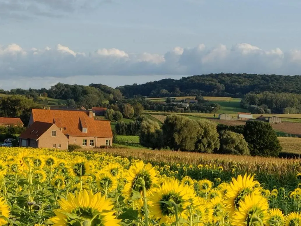 B&B De Zavelaar