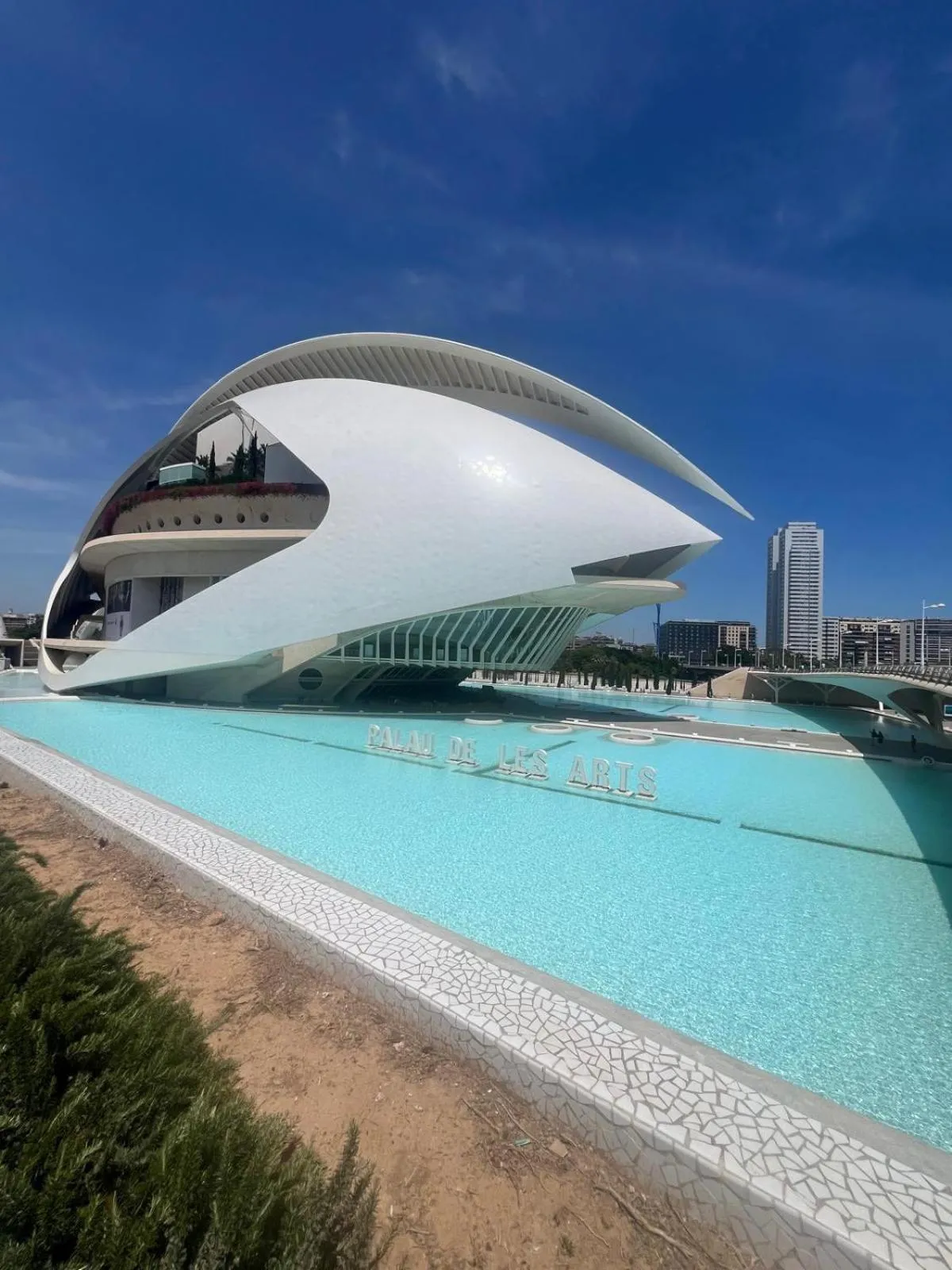 Day in Beach & Arts Hostel Valencia