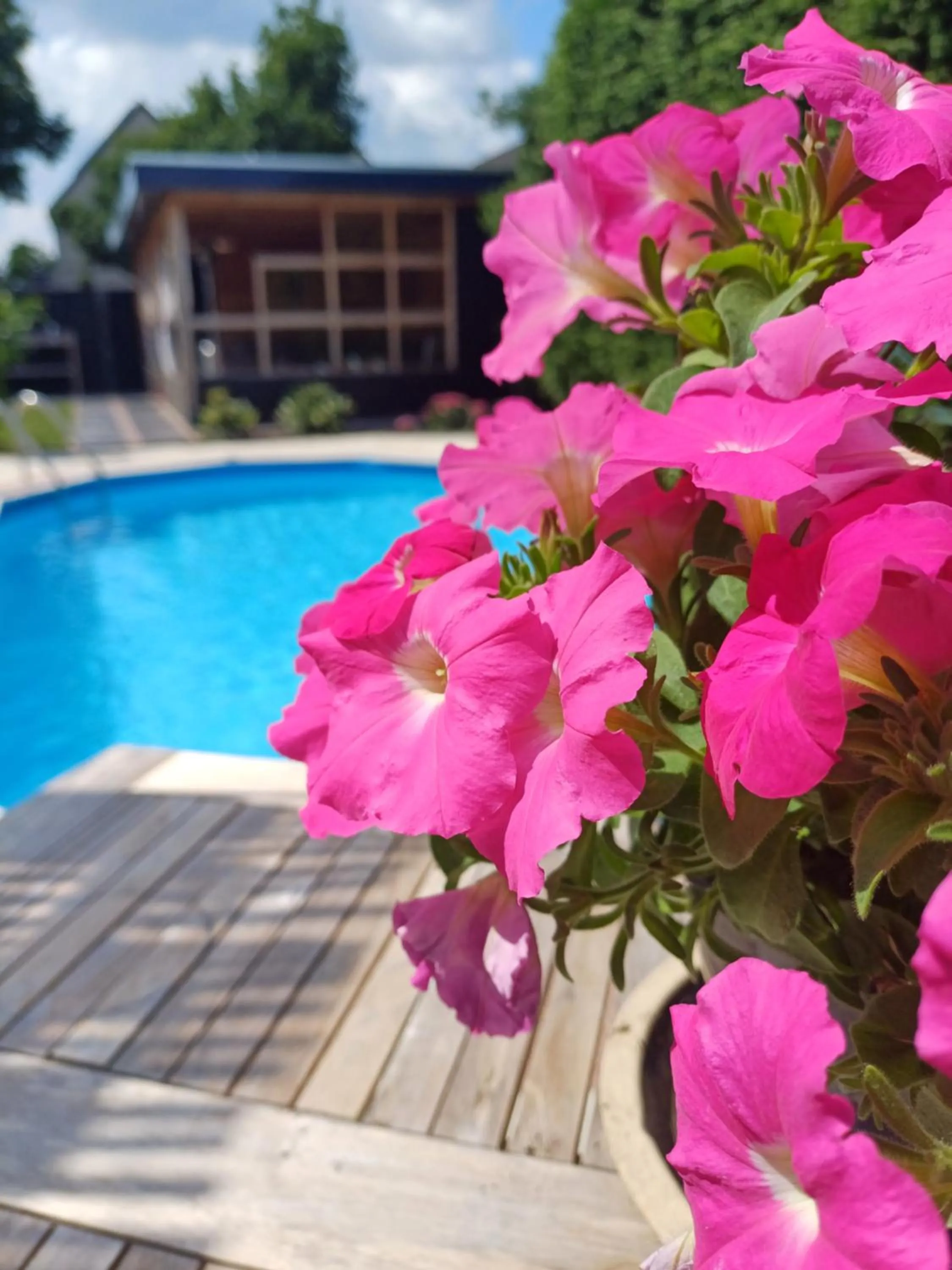 Garden view in East Meets West Bed and Breakfast