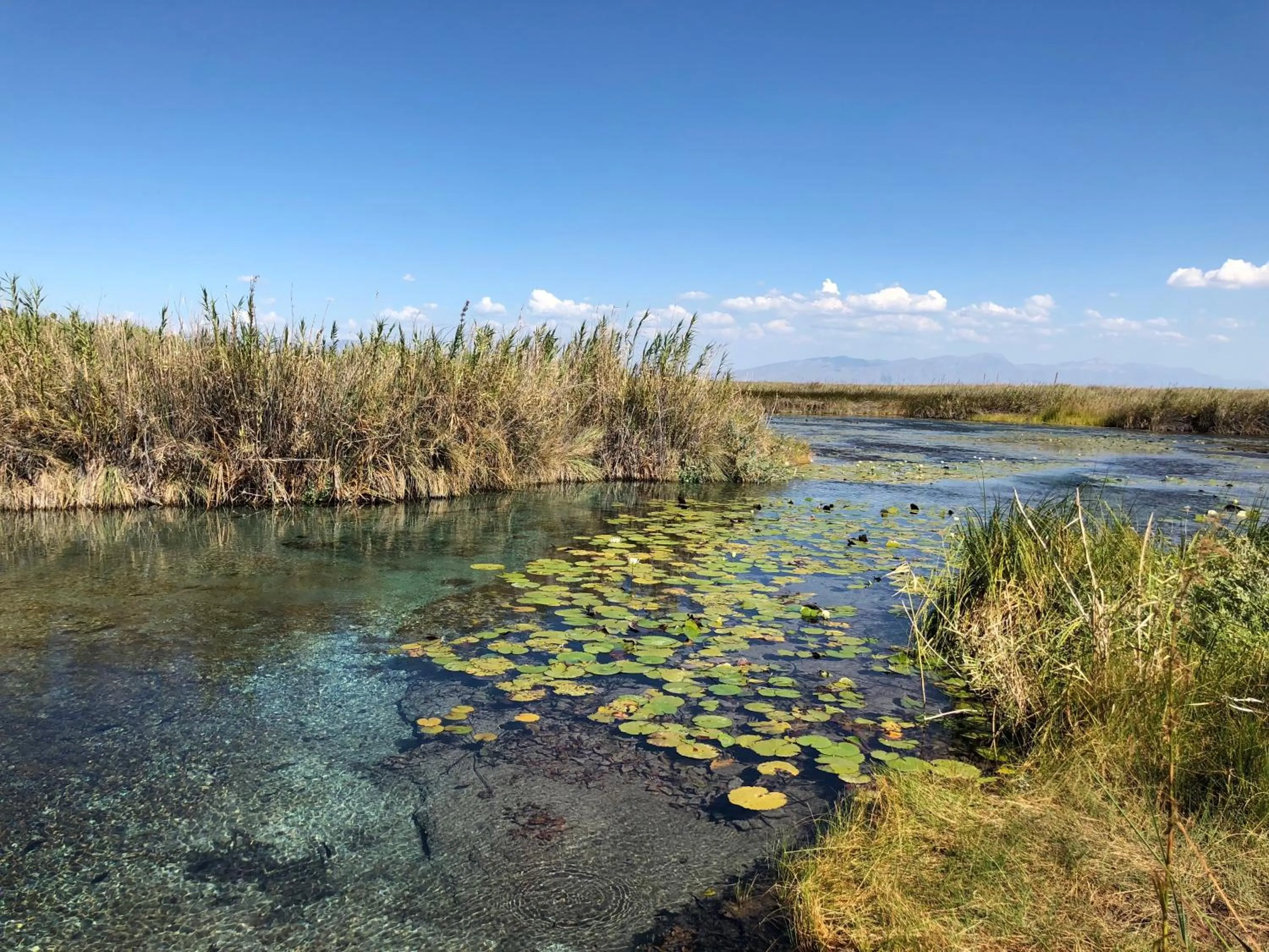 Nearby landmark in Hotel Casa Nodin