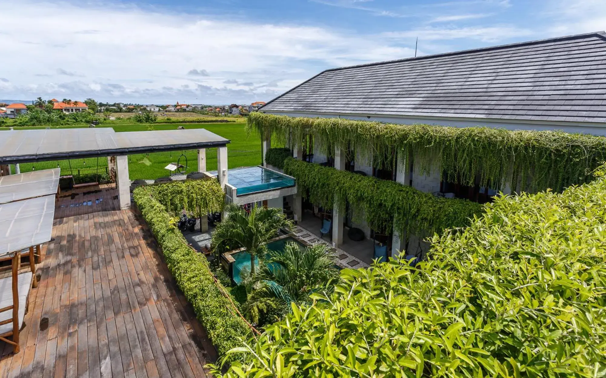 Property building in Canggu Hype Property building in Canggu Hype