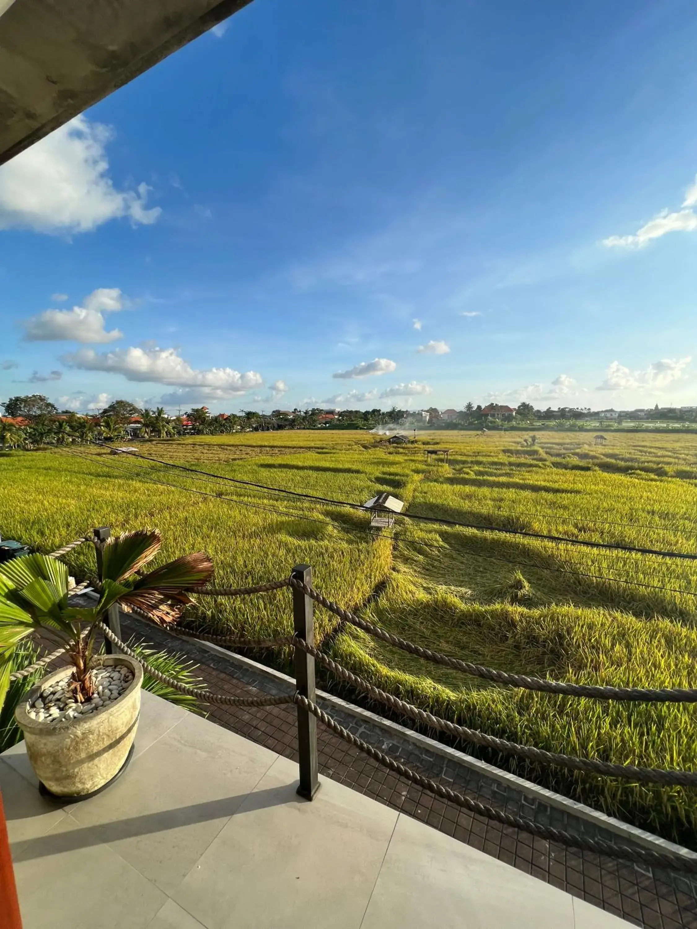 View (from property/room) in Canggu Hype View (from property/room) in Canggu Hype
